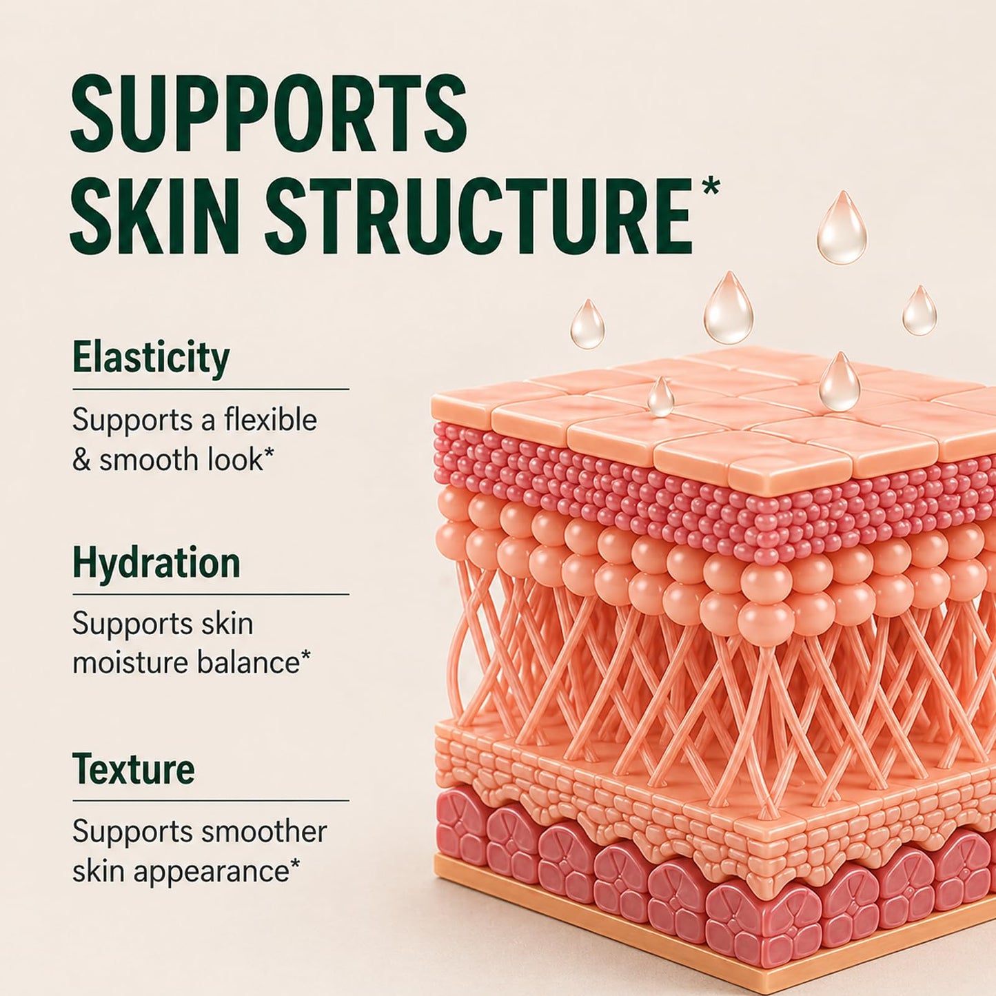 Venvida Elastin Peptide Skin Support Gummy 60 Count