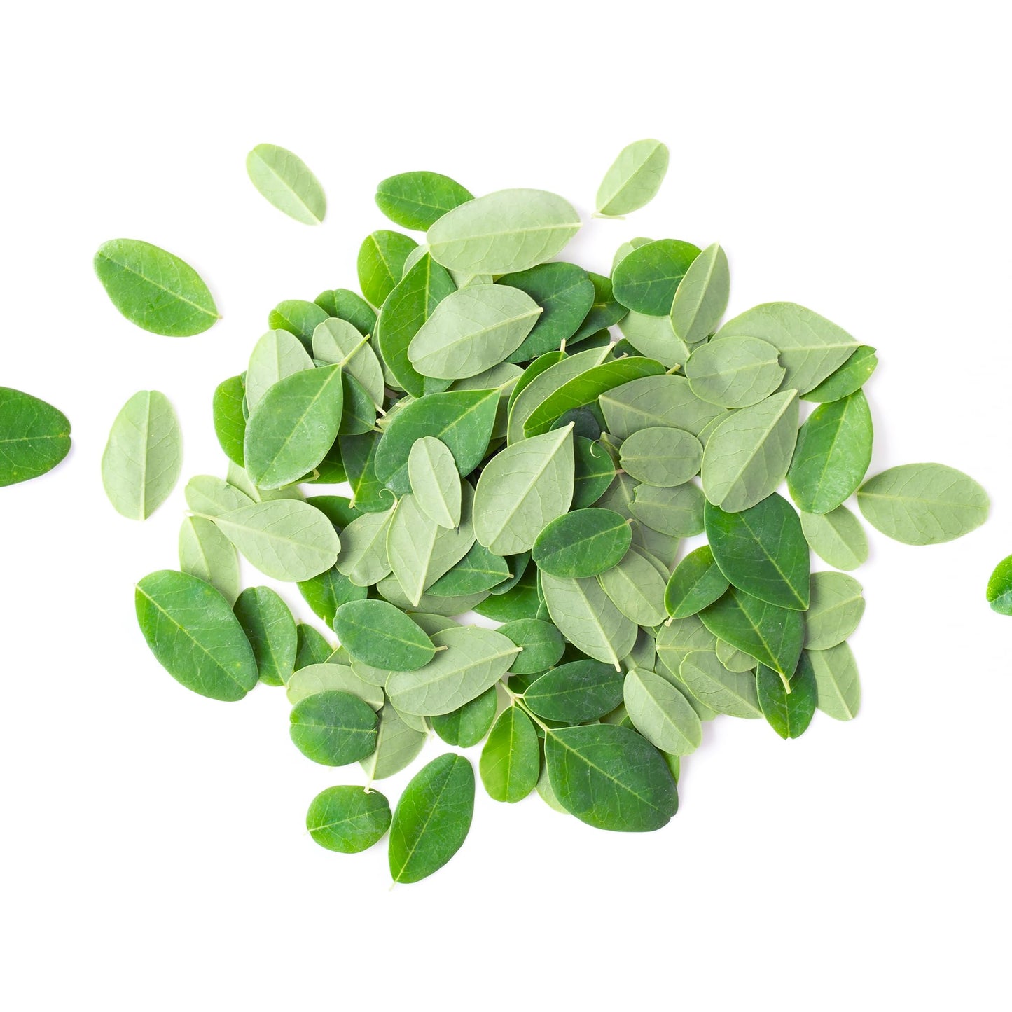 PURE ORIGINAL INGREDIENTS Moringa Oleifera Leaf Extract Powder, 8 oz