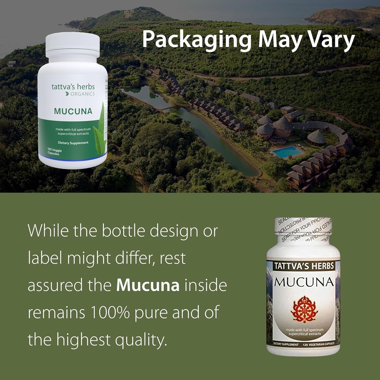 Tattva's Herbs Mucuna Pruriens CO2 Holistic Extract 500 mg Capsule 120 Count