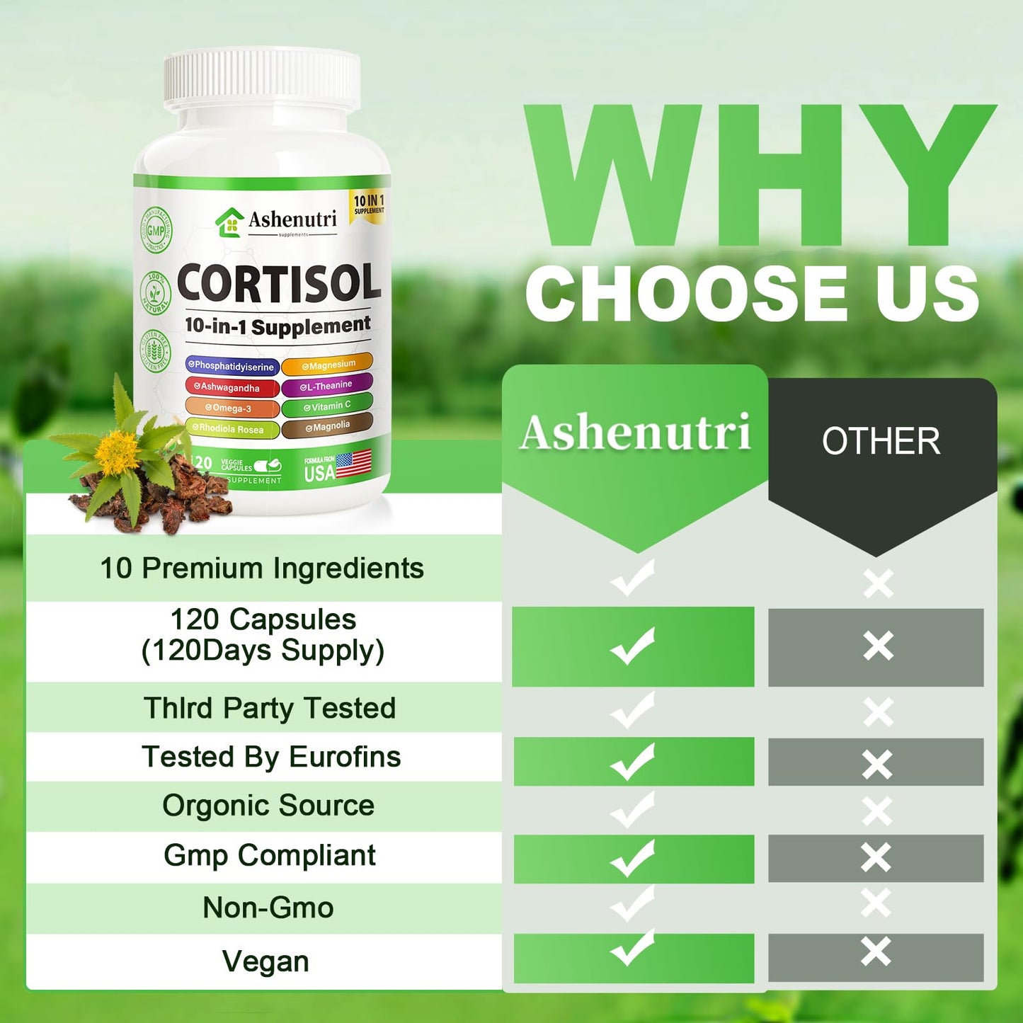 Ashenutri 10-in-1 Cortisol Supplement with Magnesium, Ashwagandha, Rhodiola Rosea, L Theanine, Hormone Balance for Women, 120 Capsules