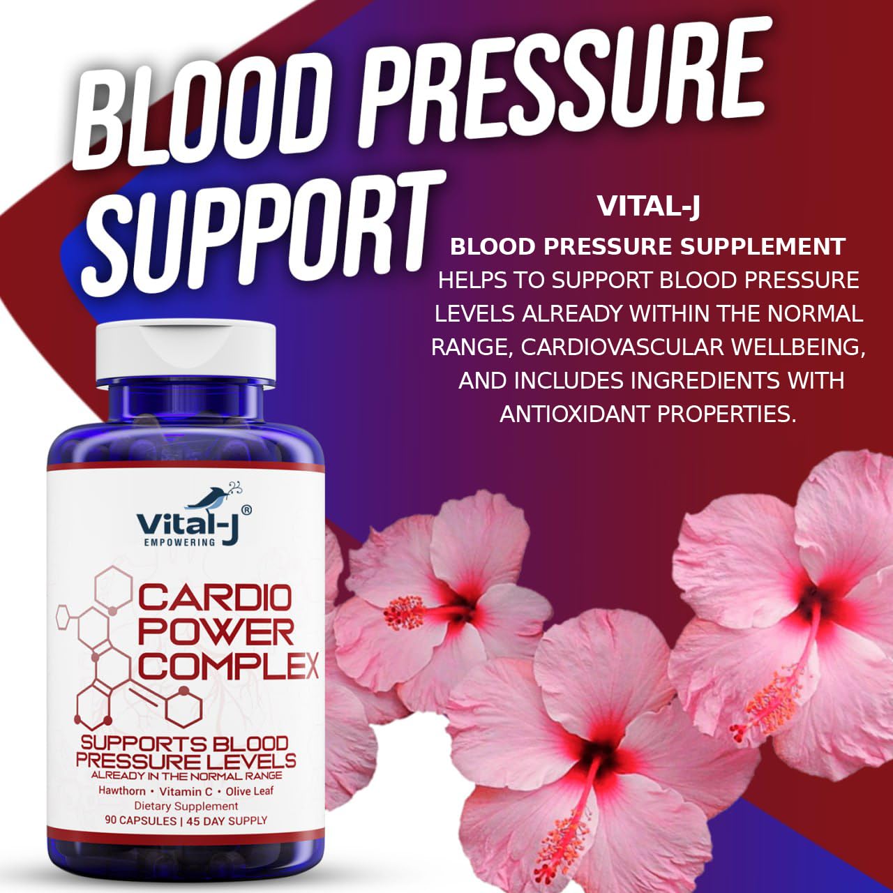 Vital-J Empowering Cardio Power Complex Premium Blood Pressure Support Supplement with Garlic, Hawthorn, Hibiscus, Olive Leaf - 13 Natural Ingredients, 90 Capsules