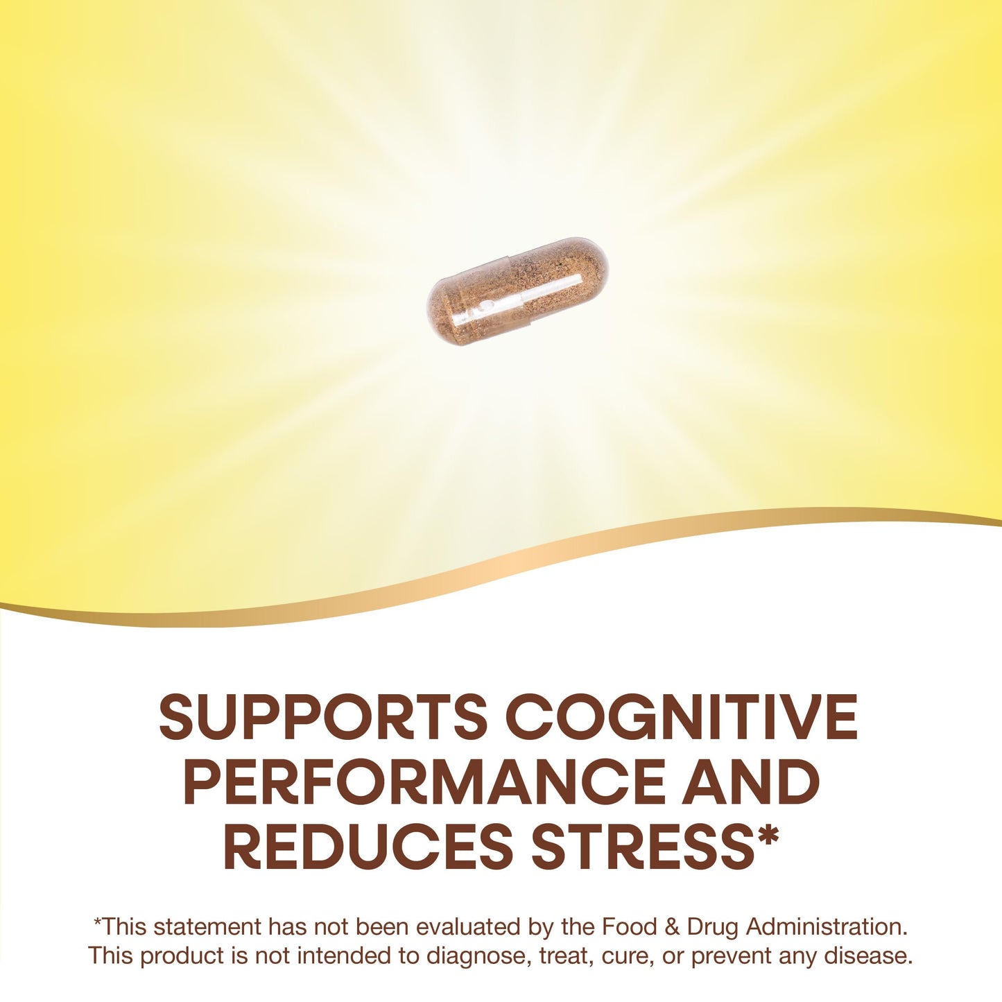 Nature's Way Clear Thinking Nootropic Ashwagandha Capsules, 40 Count