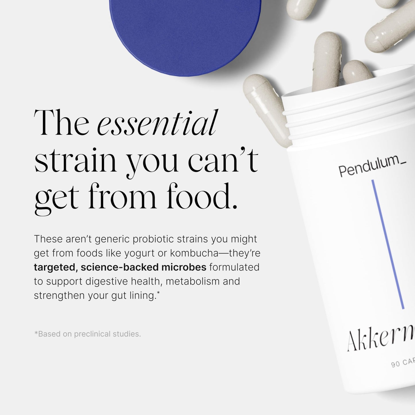 Pendulum Akkermansia Probiotic with Prebiotic Fiber Delayed Release Capsules, 90 Capsules