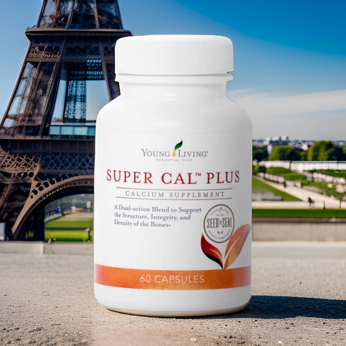 Young Living Super Cal Plus Calcium Mineral Bone Health Supplement, Synergistic Blend of Magnesium, Vitamins D & K, 60 Capsules