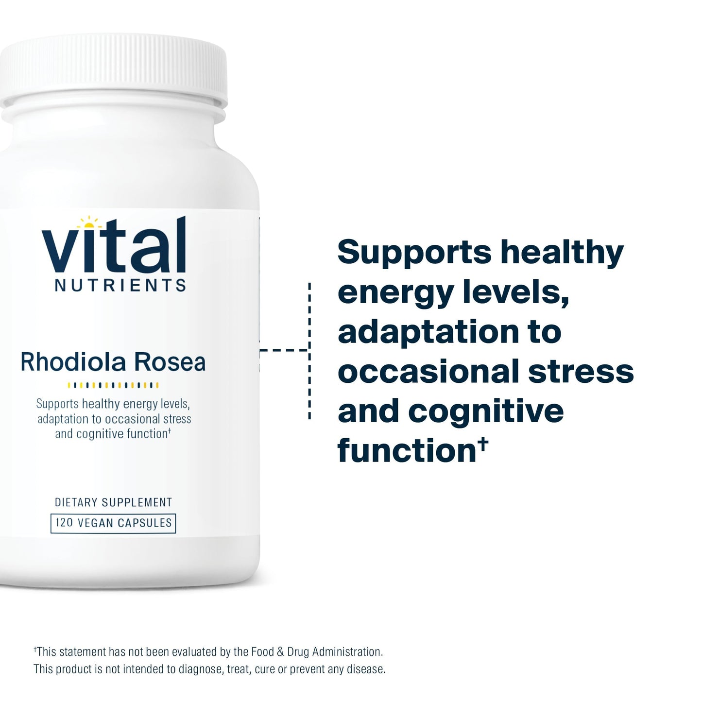 Vital Nutrients Rhodiola Rosea 120 Capsules