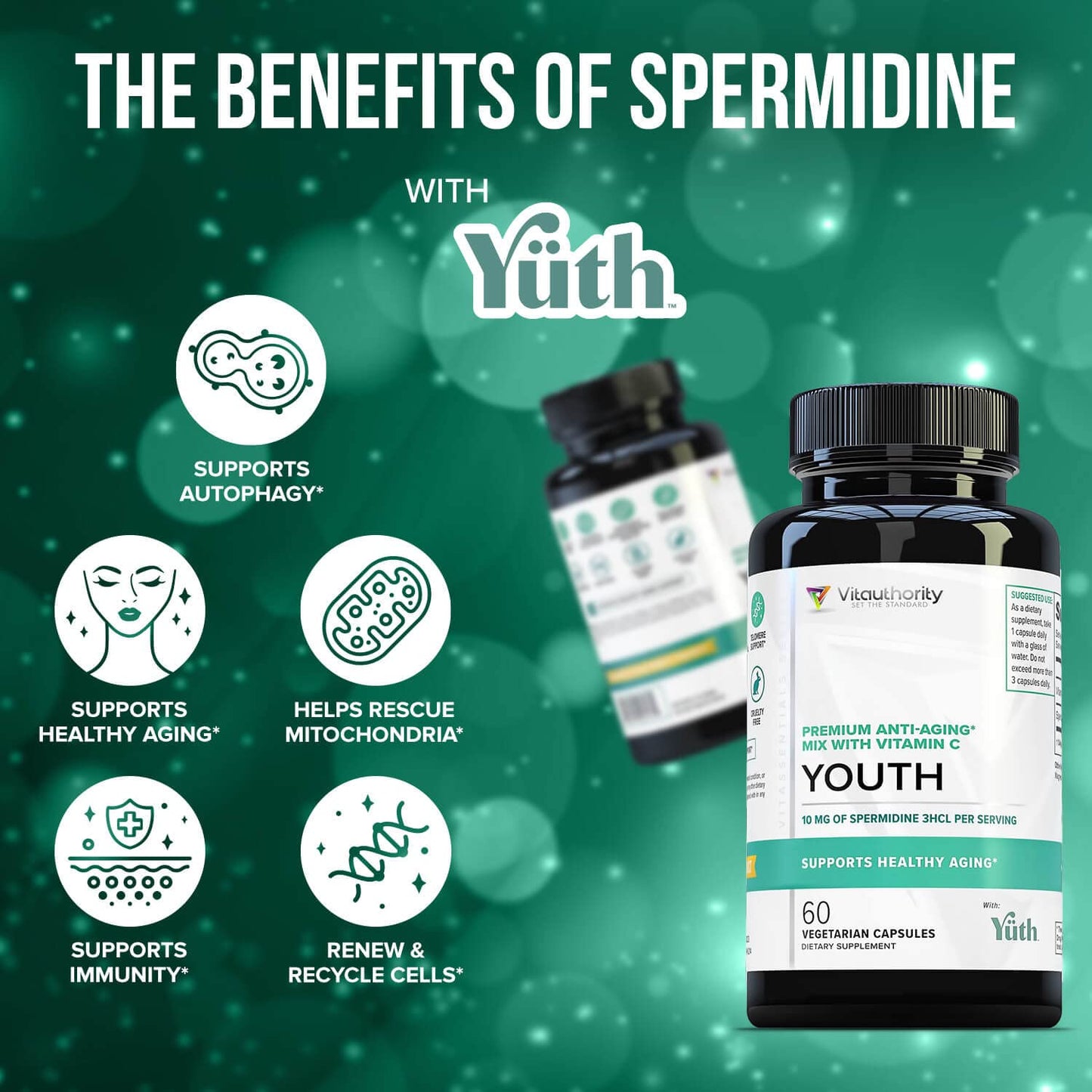 Vitauthority Enhanced Absorption Pure Spermidine Supplement Capsule 60 Capsules