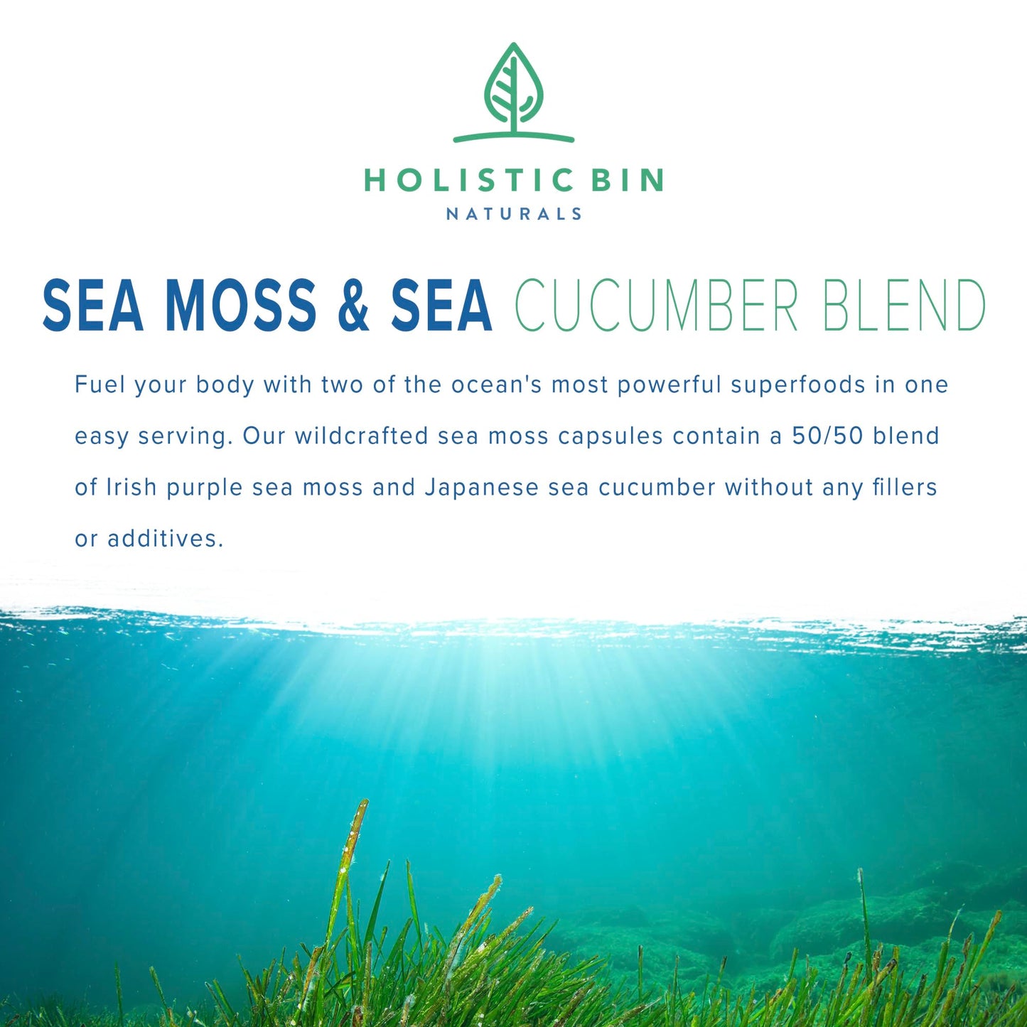 Holistic Bin 1000mg Purple Sea Moss Capsules with Sea Cucumber, 40 Count