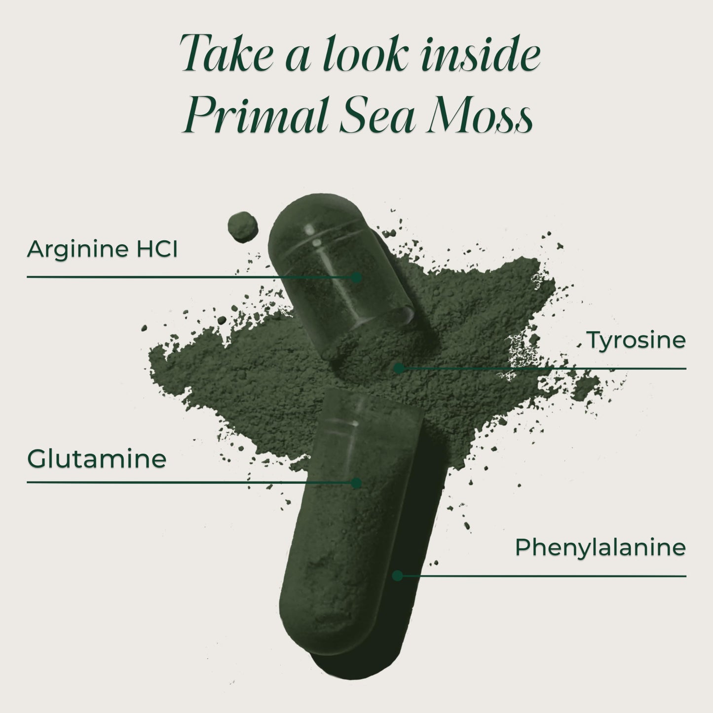 Primal Harvest Sea Moss Capsules with Bladderwack and Irish Sea Moss, Chlorella, Broccoli Seed Extract, 60 Count