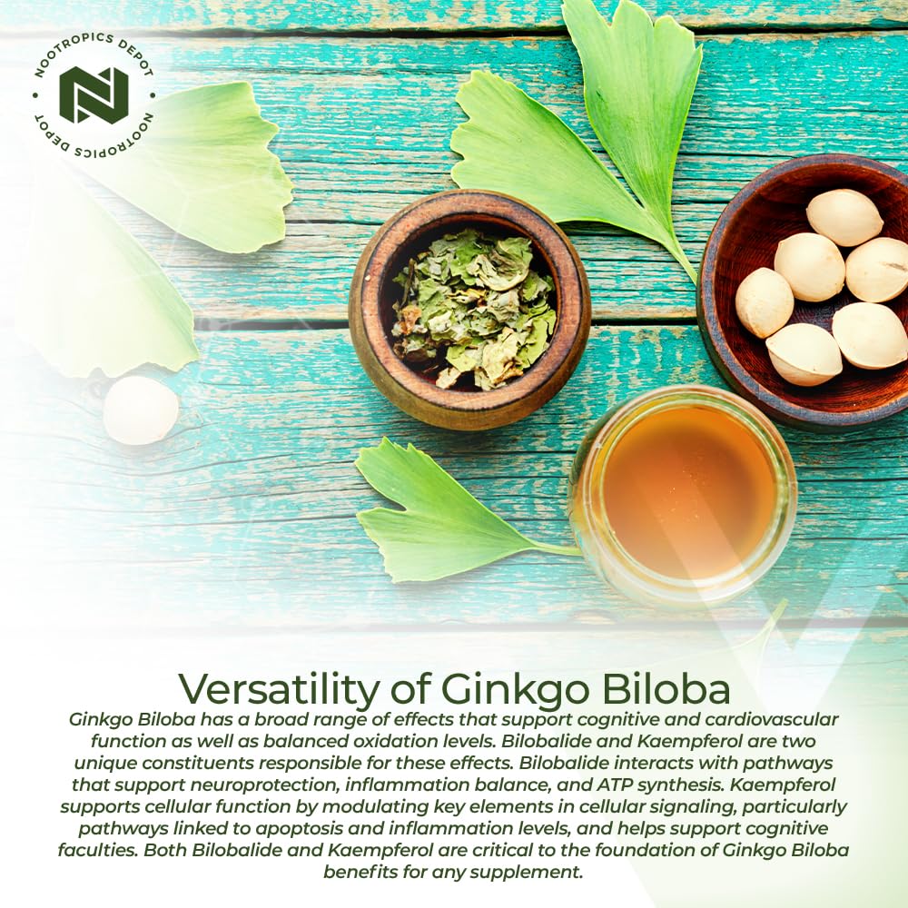 Nootropics Depot Ginkgo Biloba Extract Tablets 90 Count