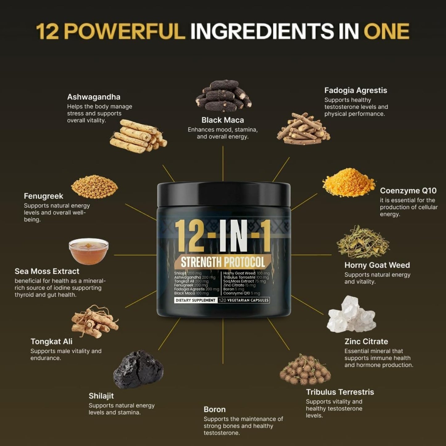 BODY C.E.O. EXECUTIVE OF SUPPLEMENTS 12-in-1 Strength Protocol for Men 1400mg Supplement with Shilajit, Ashwagandha, Tongkat Ali 120 Veggie Capsules