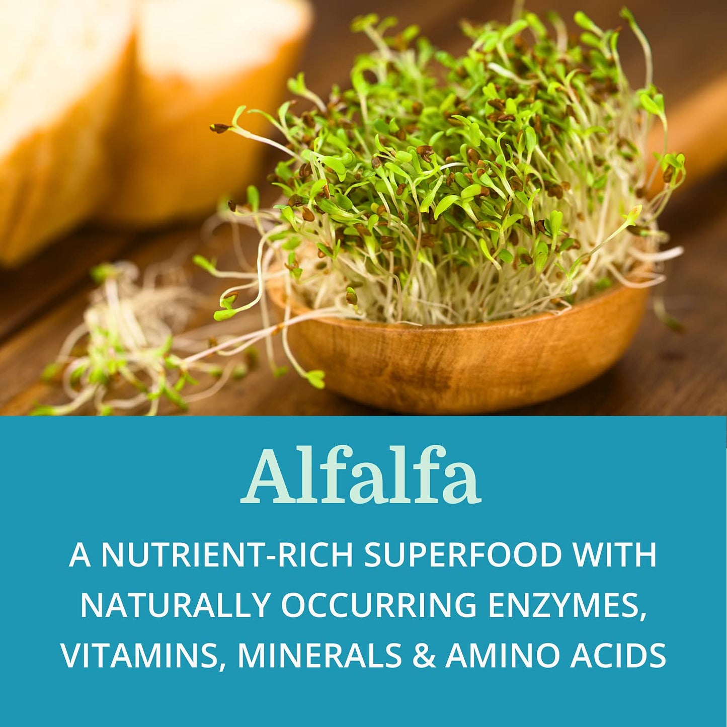 Morter HealthSystem SuperDigest Best Process Alkaline — Multi-Enzyme Digestive Support — Digestive Enzymes with Alfalfa, Papain & Bromelain (Vegetarian Friendly) Tablets 90