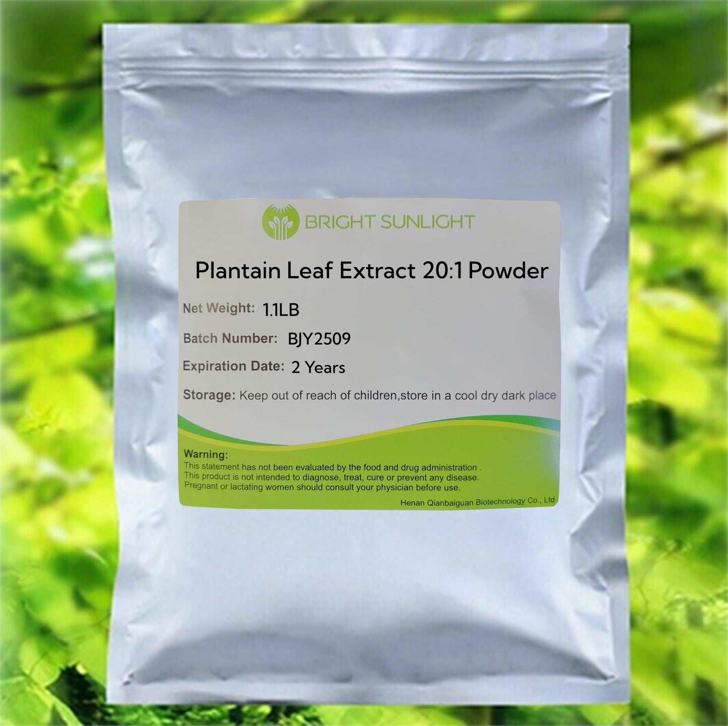 Bright sunlight Plantain Leaf Extract Powder 18