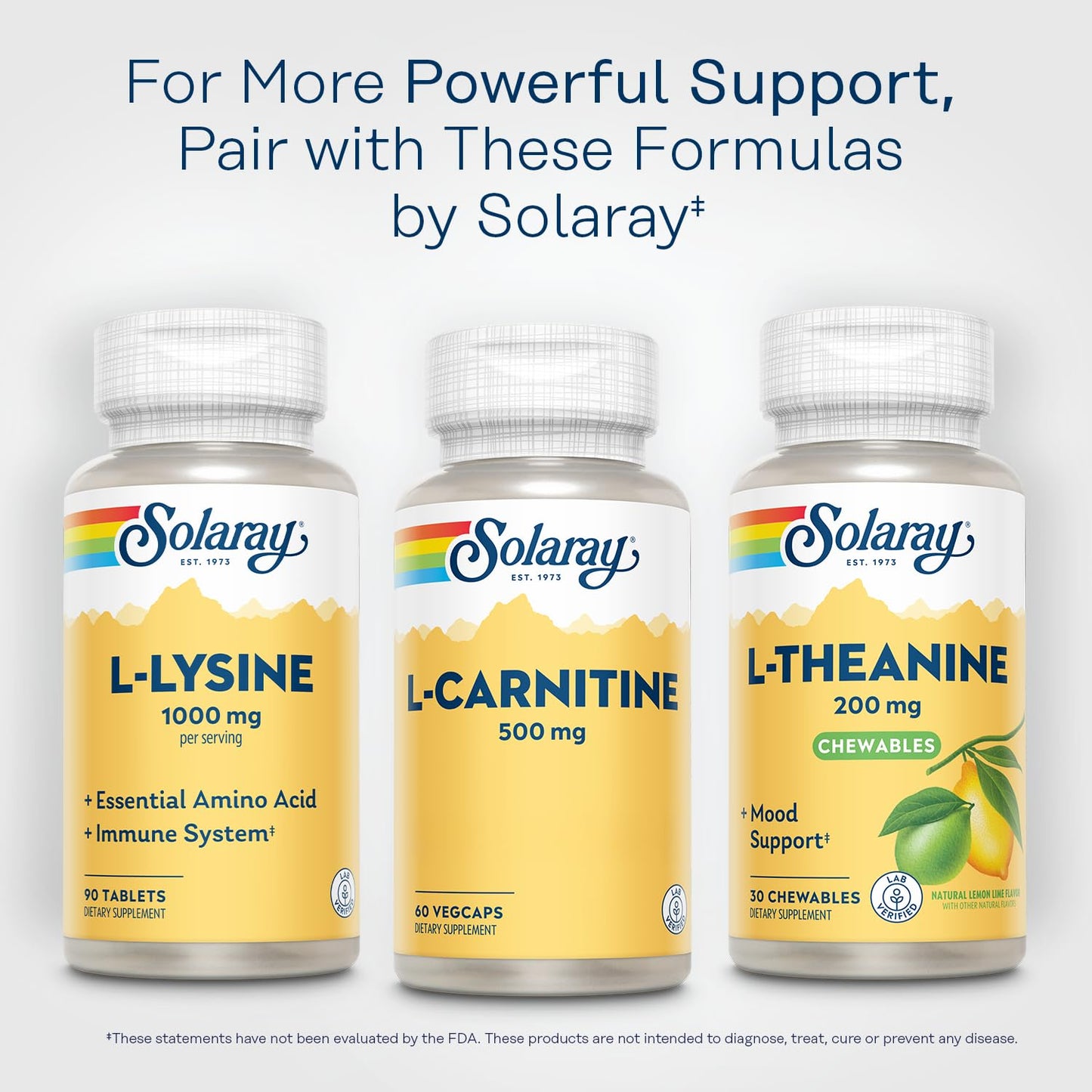 Solaray L-Carnitine 500 mg Free-Form Capsule, 60 VegCaps