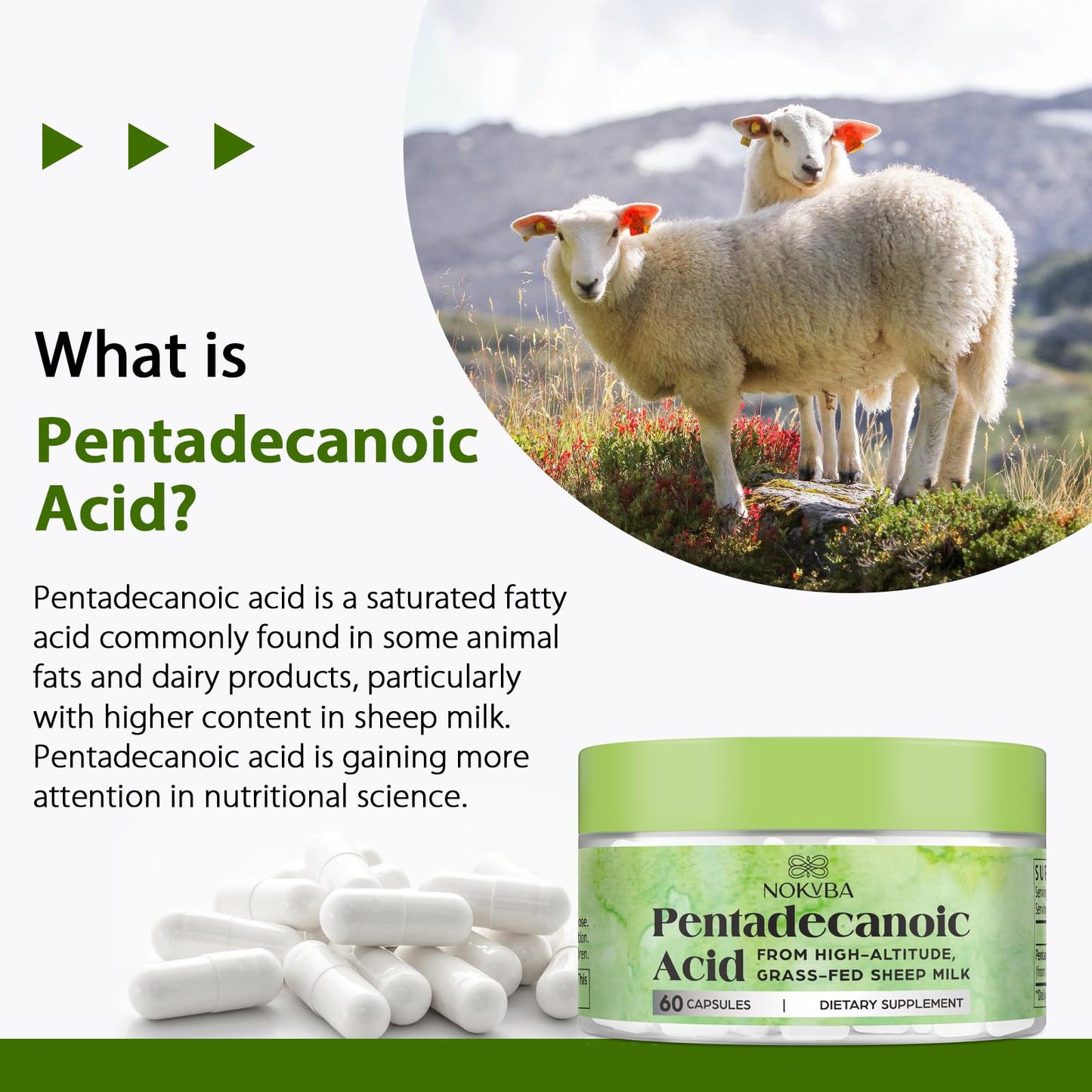 Nokvba Pentadecanoic Acid C15:0 Supplements 300mg High-Altitude Sheep Milk Sourced Capsules, 60 Count