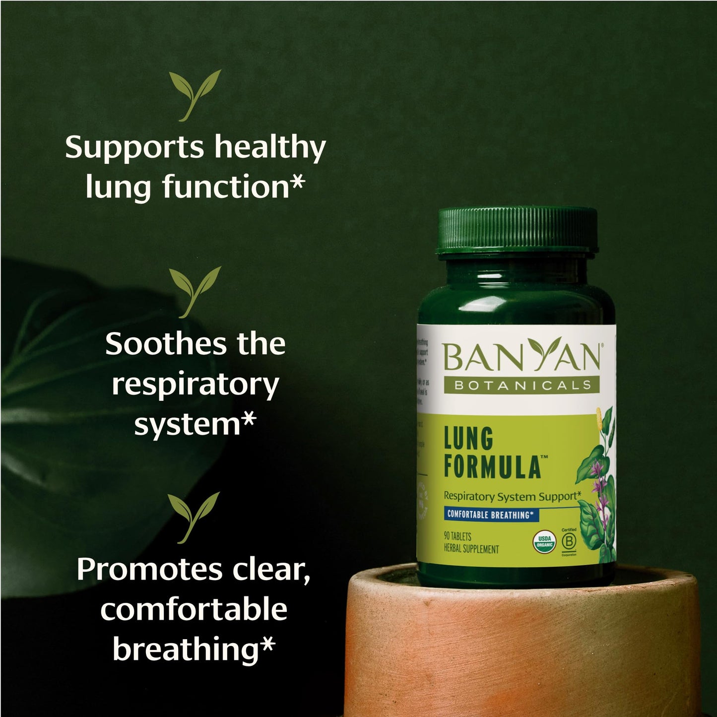 Banyan Botanicals Lung Formula, 90 Tablets