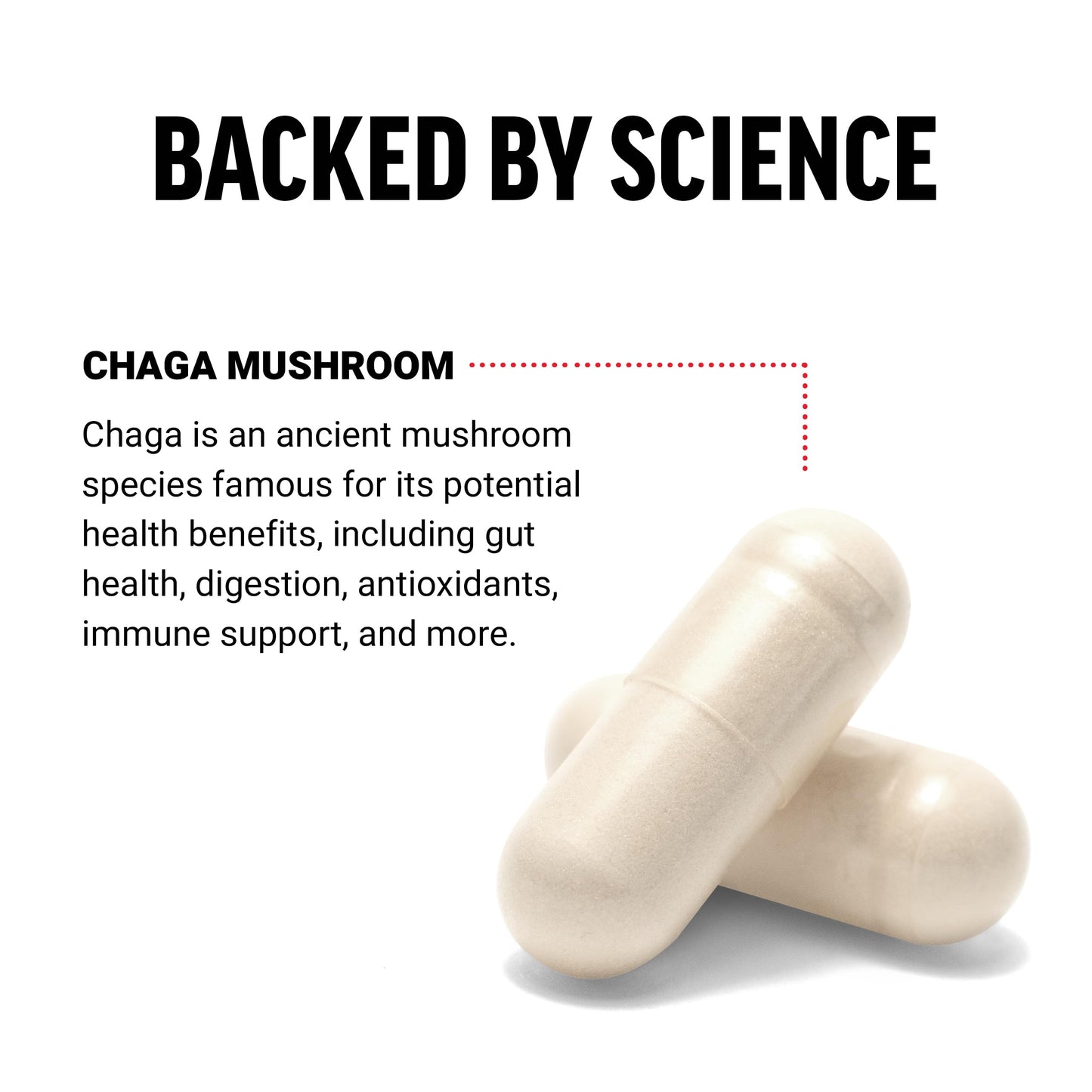Force Factor Chaga Mushrooms Capsule 120 Count
