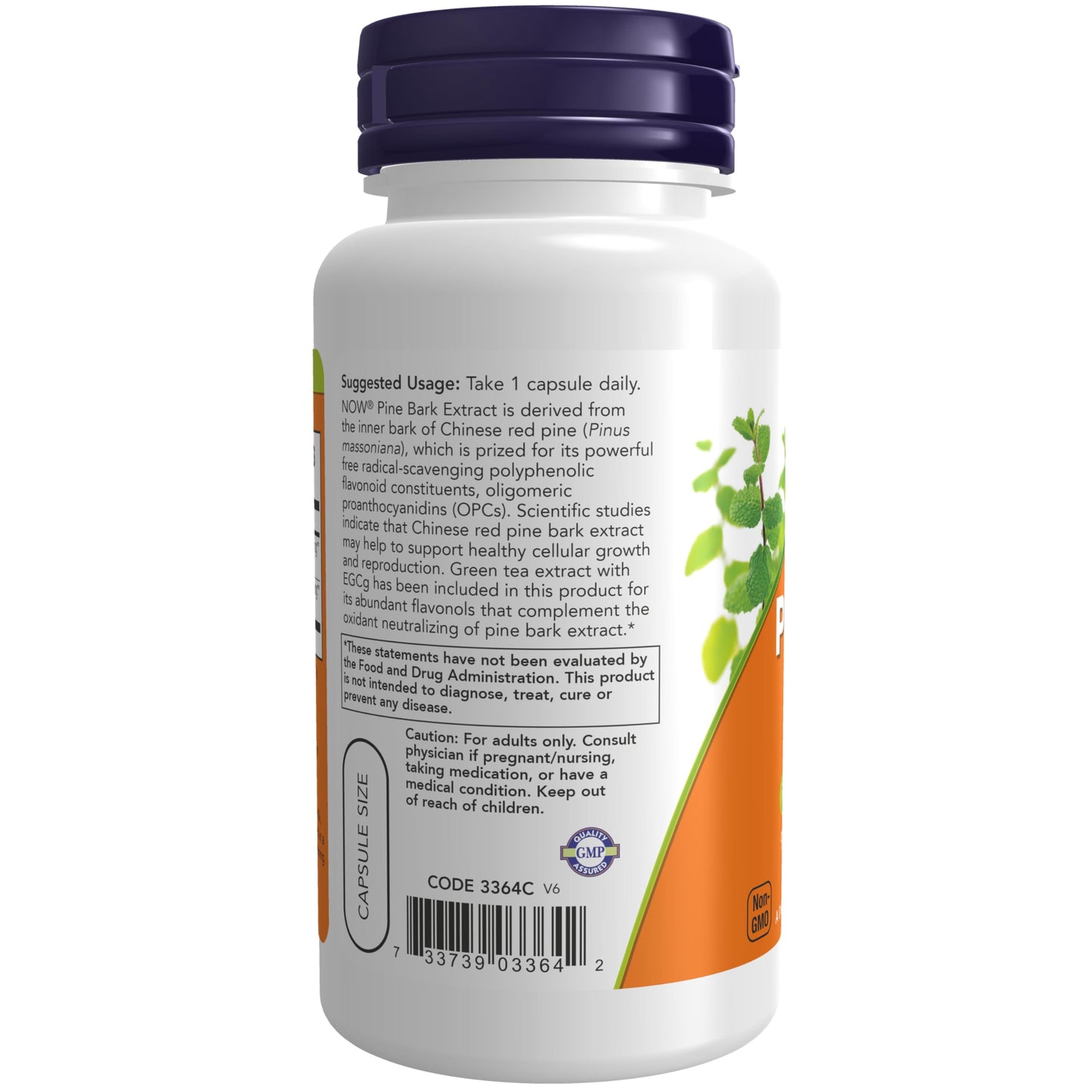 NOW Foods Pine Bark Extract 240 mg, 90% OPC Veg Capsules, 90 Count