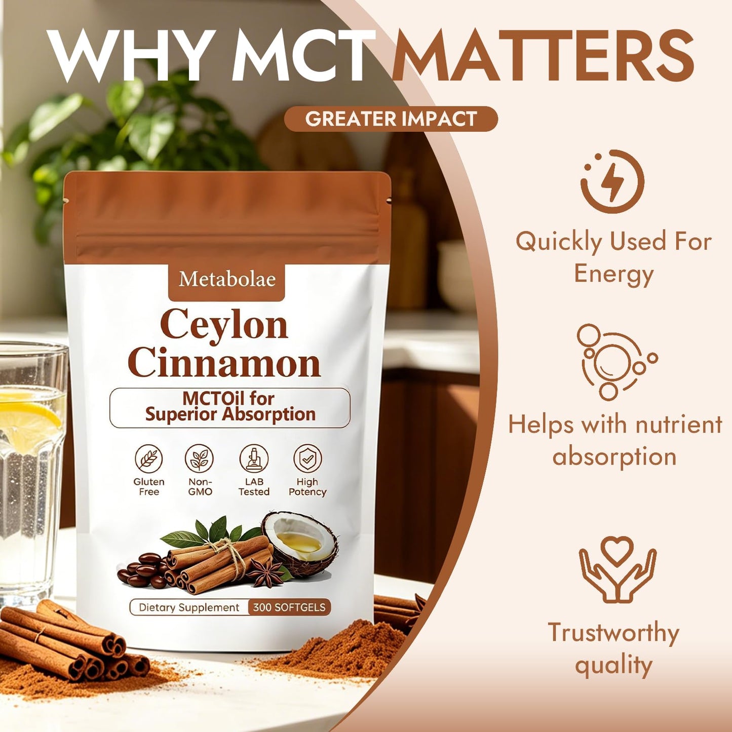 Metabolae Ceylon Cinnamon Softgels with MCT Oil, 1 Count, Non-GMO, Gluten Free