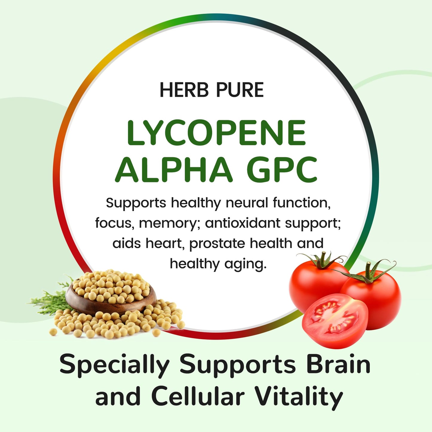 HERB PURE Multi Vitamin Complex Daily Multivitamins for Men and Women Capsules 60 Count