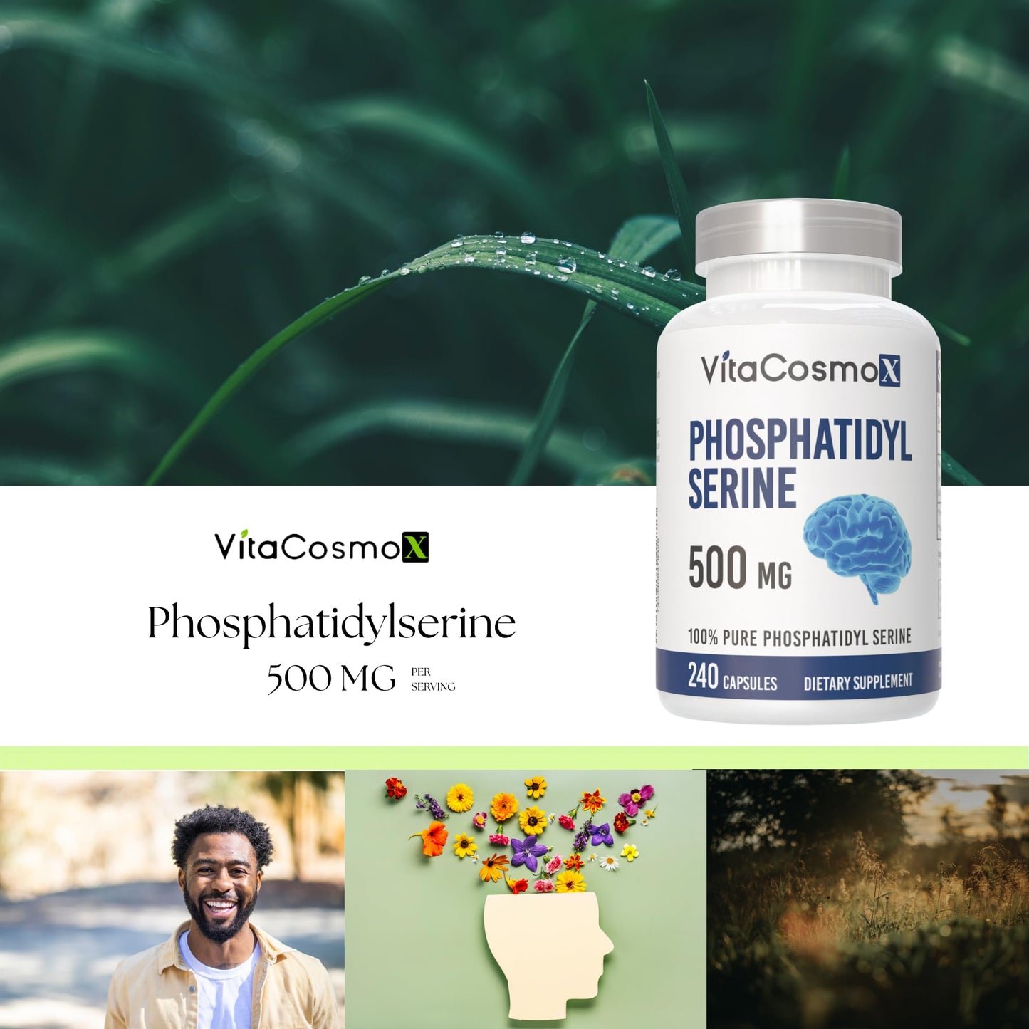 VitaCosmoX Phosphatidylserine 500mg Veggie Capsules, 240 Capsules