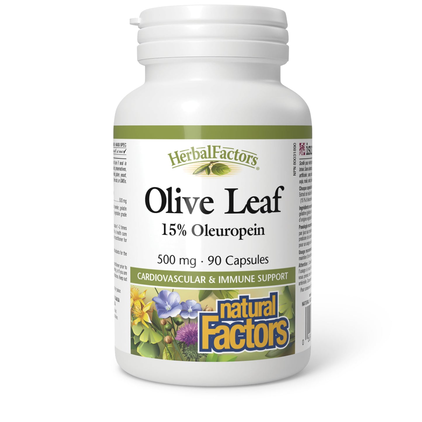 Natural Factors Olive Leaf 500 mg Capsules, 90 Count