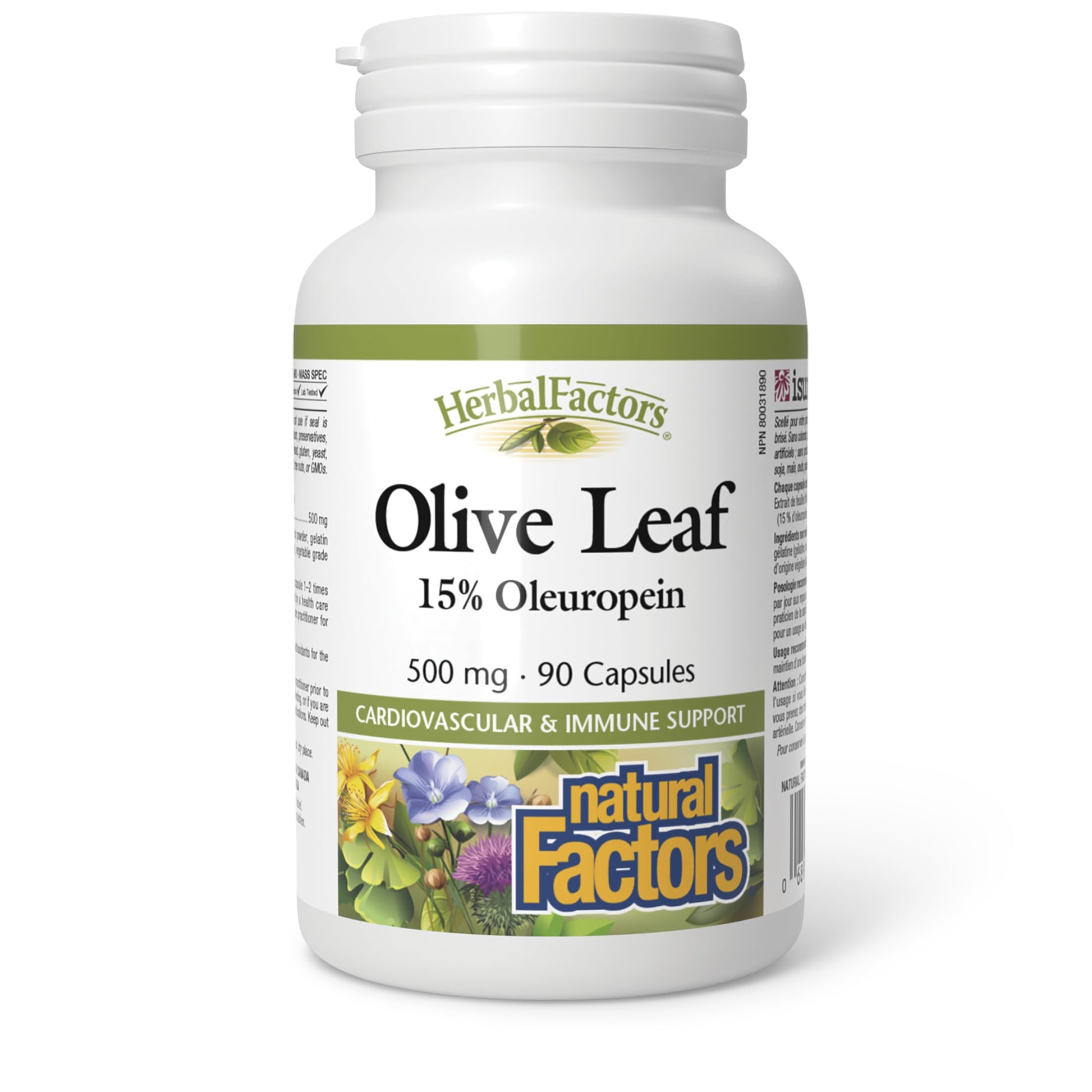 Natural Factors Olive Leaf 500 mg Capsules, 90 Count