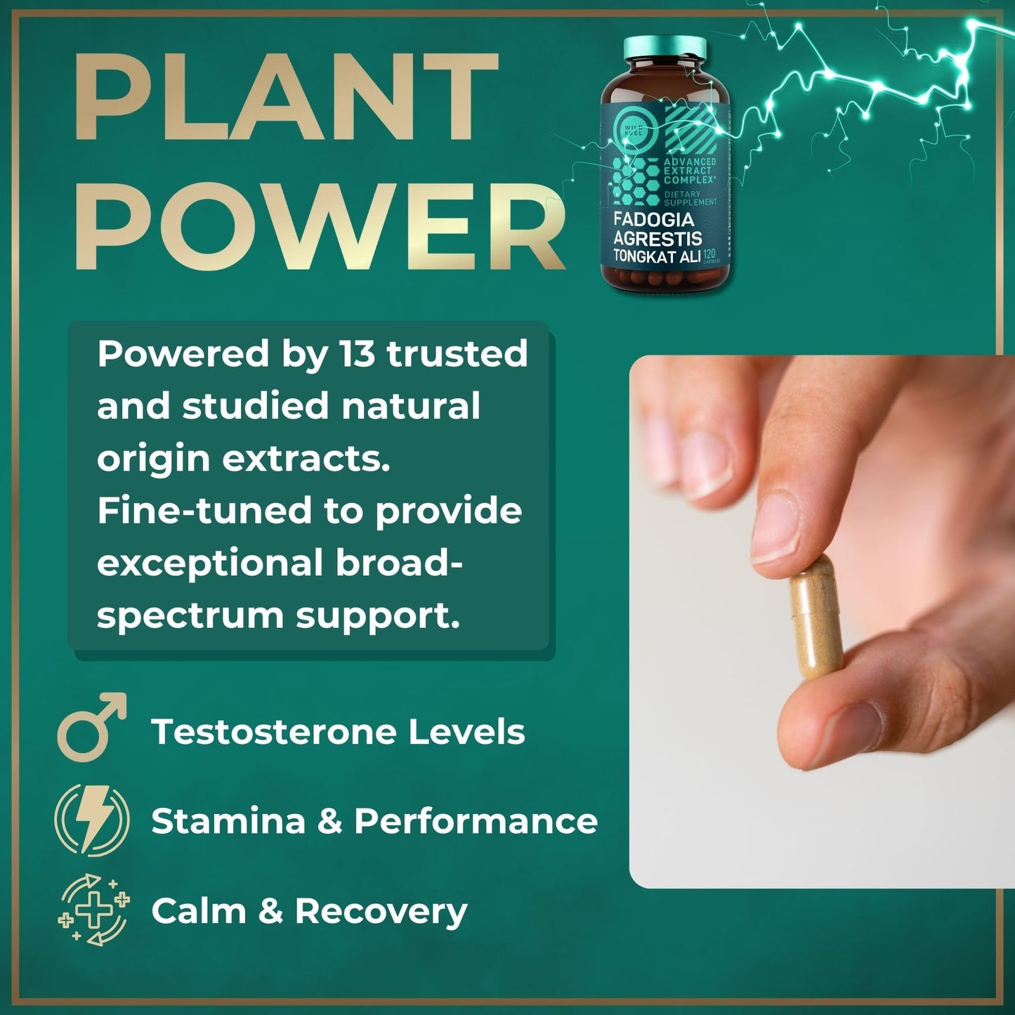 WILD FUEL Fadogia Agrestis Tongkat Ali Supplement Capsule 120 Capsules