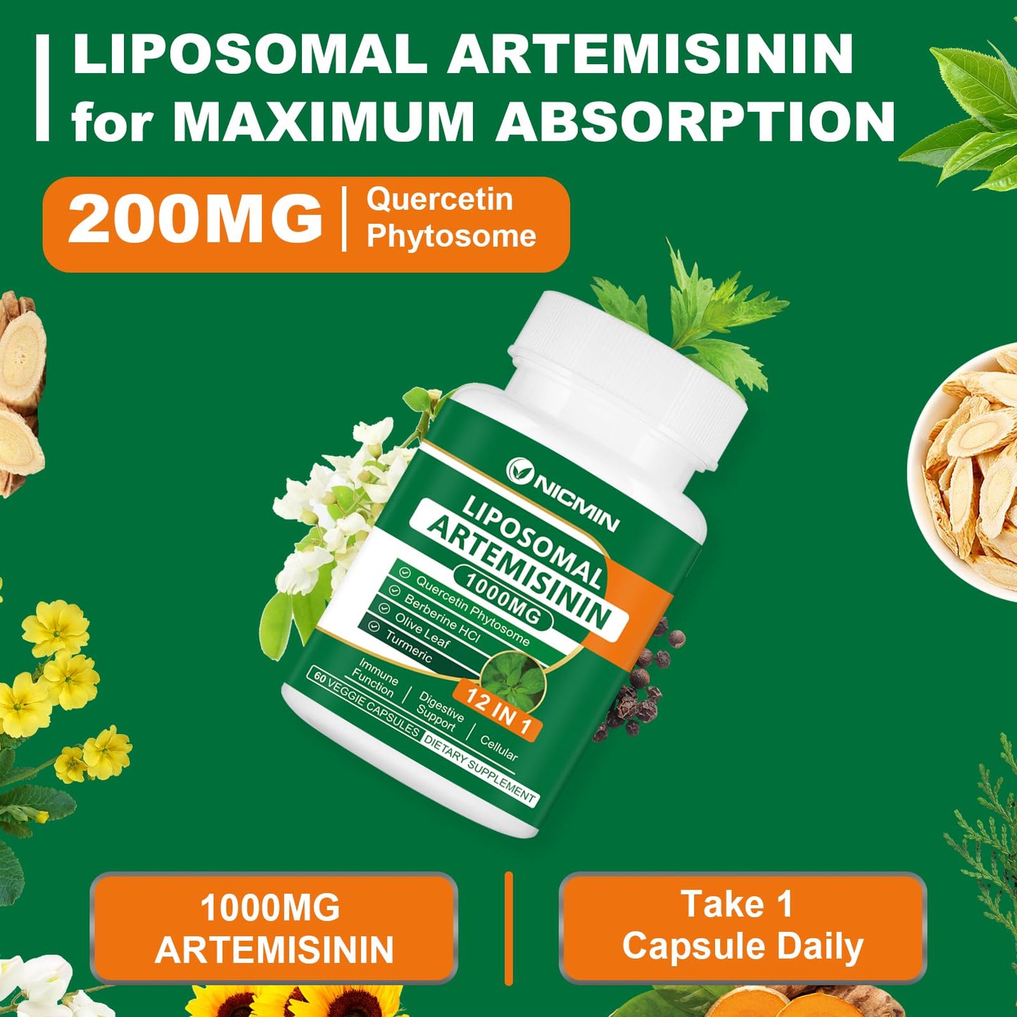 NICMIN Liposomal Artemisinin Supplement 1000mg with 200mg Quercetin Phytosome, Maximum Absorption for Antioxidant, 180 Capsules