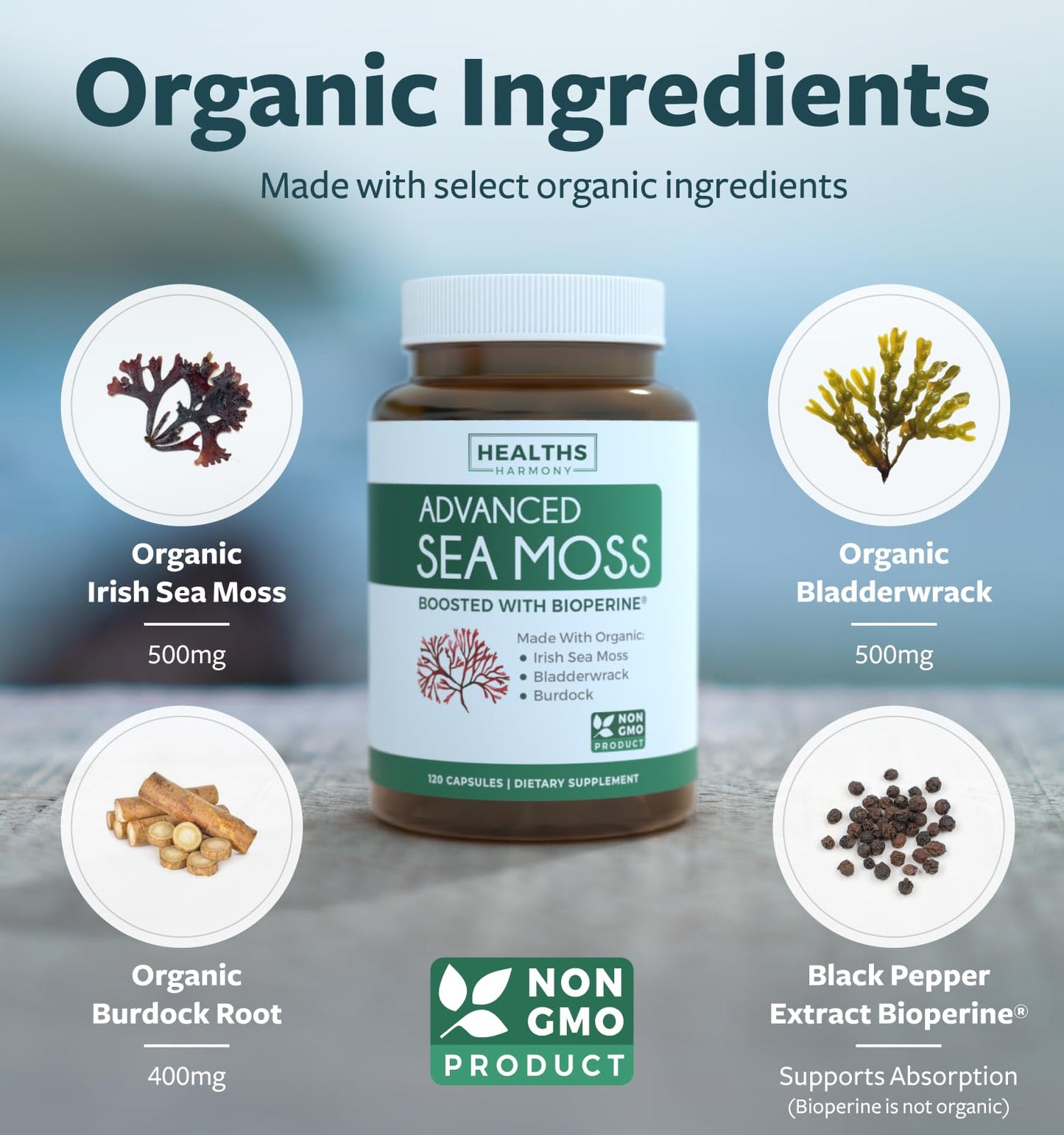 Healths Harmony Organic Irish Sea Moss Capsules with Bladderwrack, Burdock Root & Black Pepper Extract, 120 Capsules
