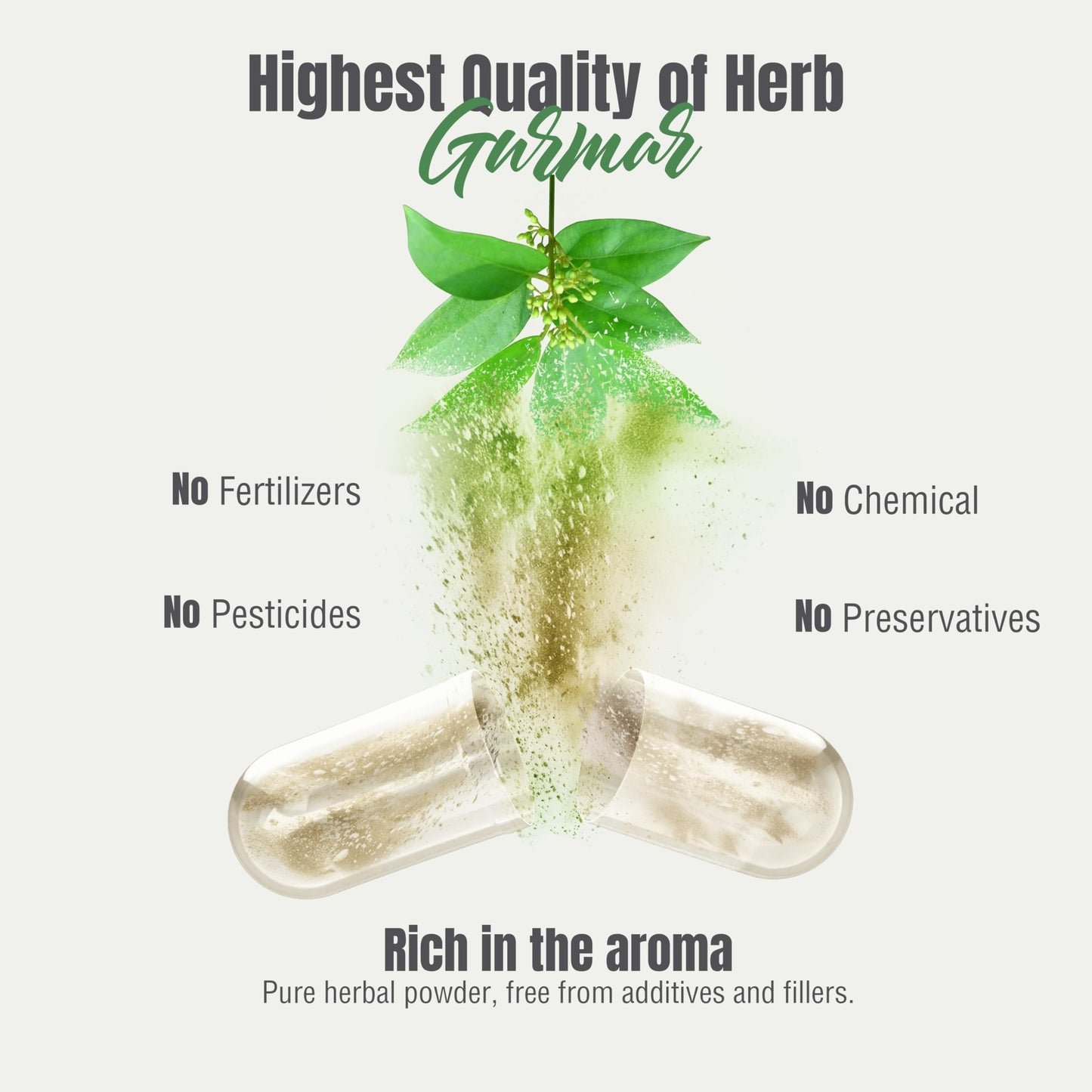 Herbsforever Gurmar Capsules 60 Capsules