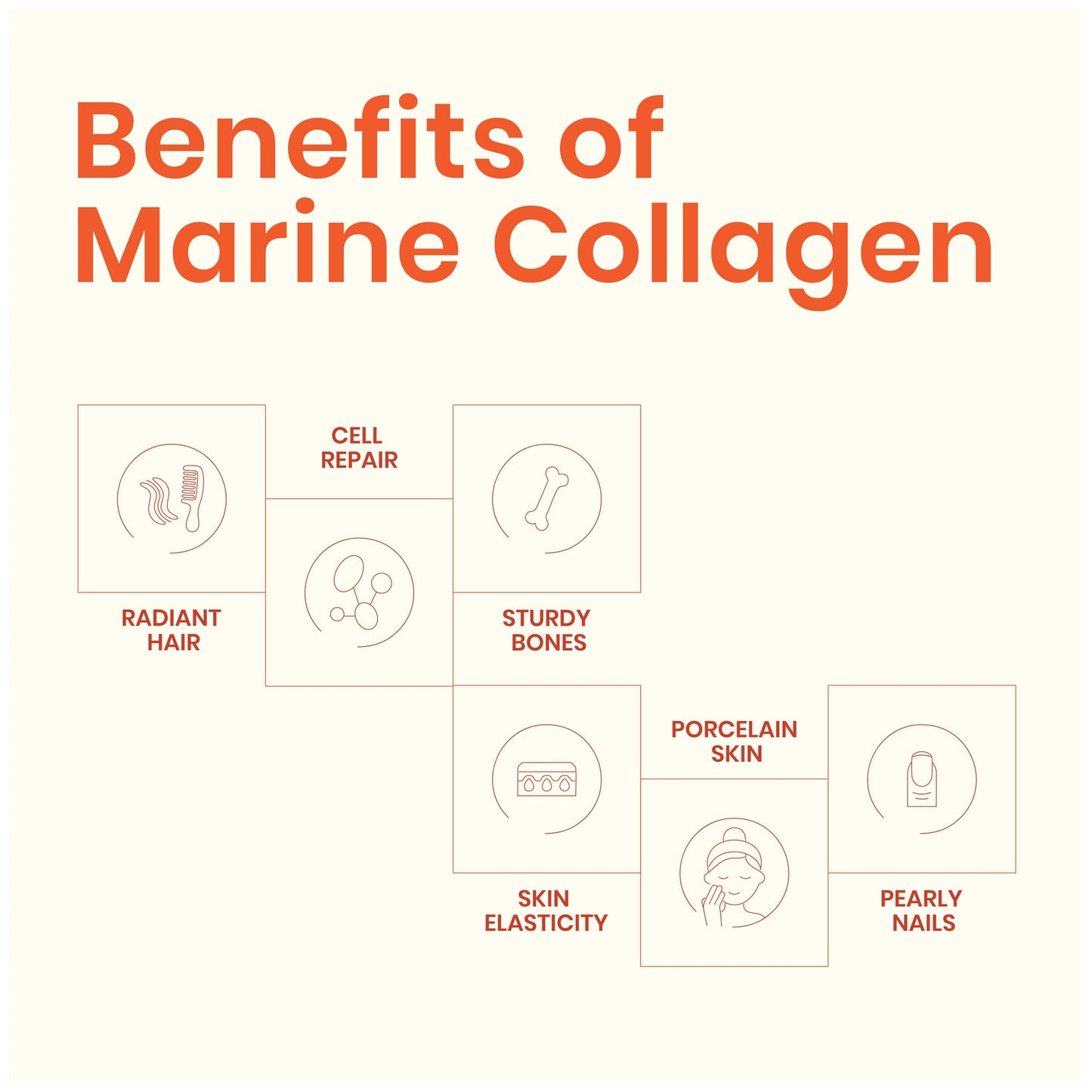 EarthNutri Wild Caught Marine Collagen Powder 6.35 Ounce
