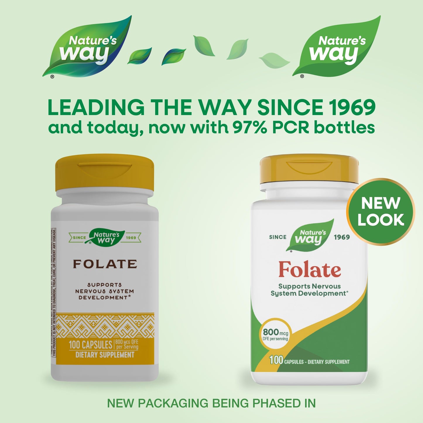 Nature's Way Folic Acid Capsule, 100 Capsules