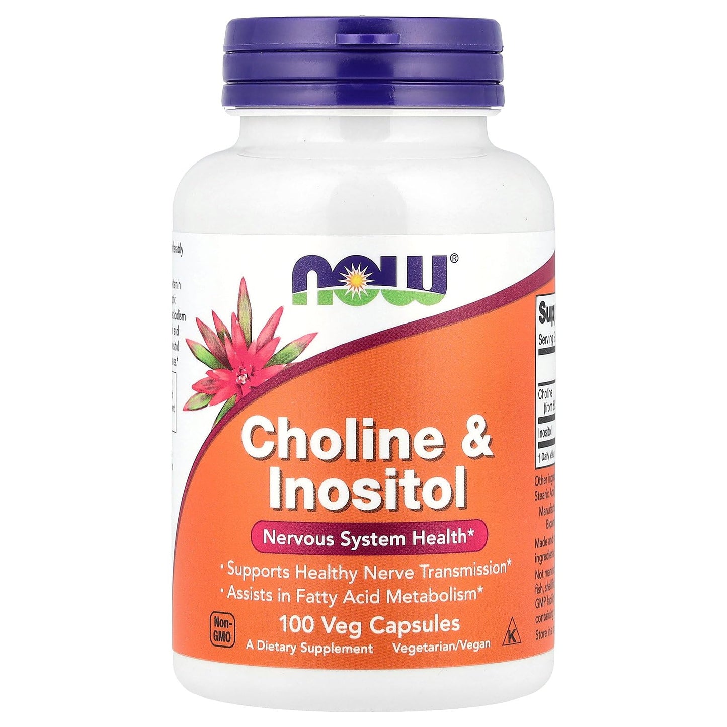 NOW Foods Choline & Inositol 500 mg Capsules, 100 Count