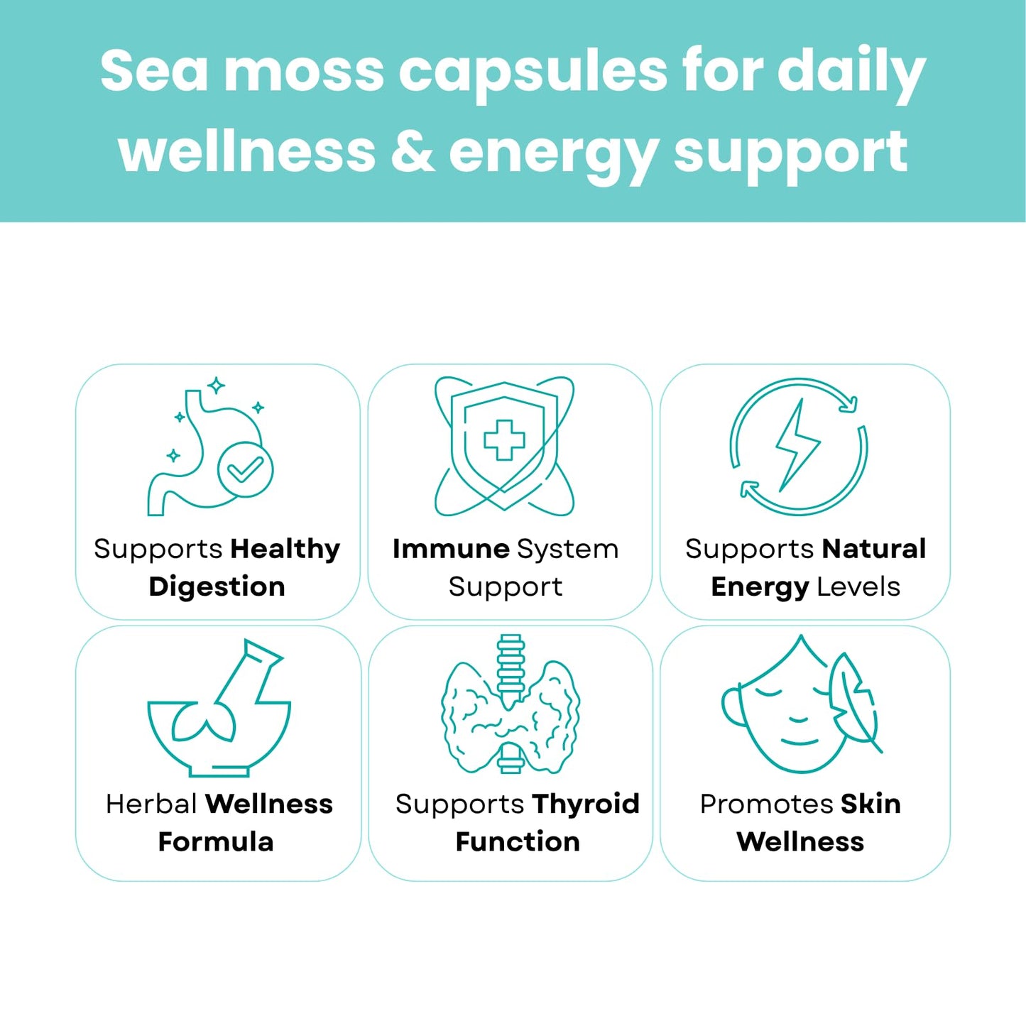ROOTIVE Sea Moss Capsules with Ashwagandha, Black Seed, Turmeric, Burdock Root, Bladderwrack, Apple Cider Vinegar & Manuka Honey, Irish Sea Moss Supplement, 60 Capsules