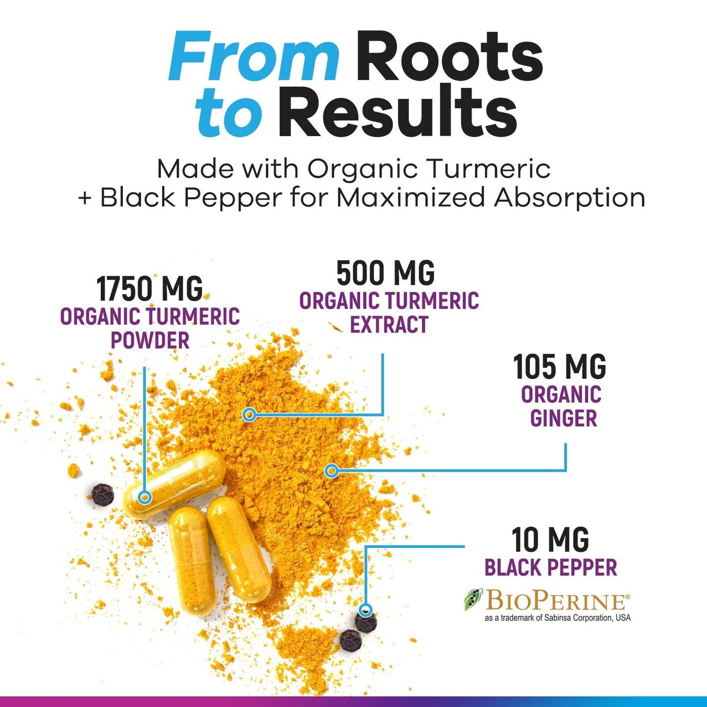 Nature's Peak Turmeric Curcumin Supplement 240 Capsules