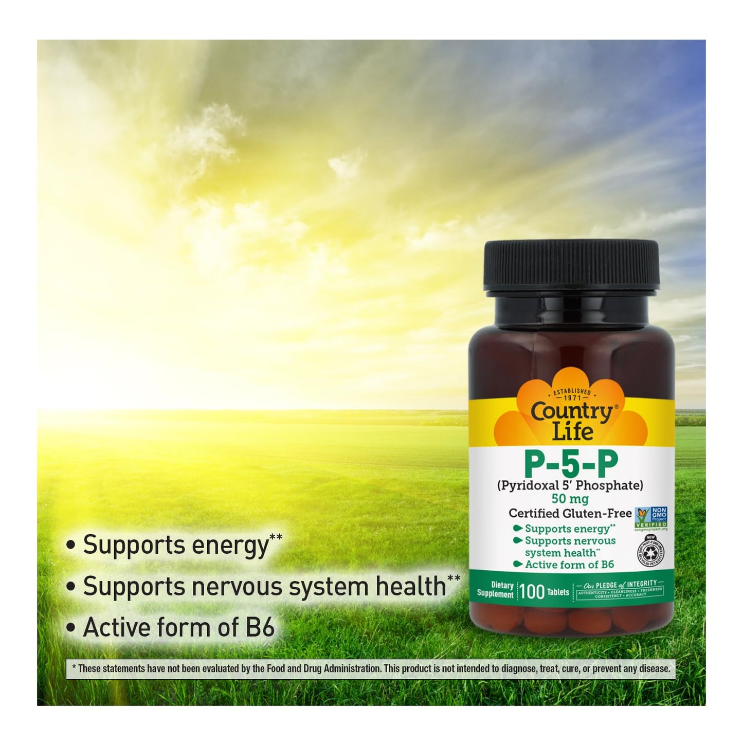 Country Life P-5-P Vitamin B6 Tablet, 100 Count
