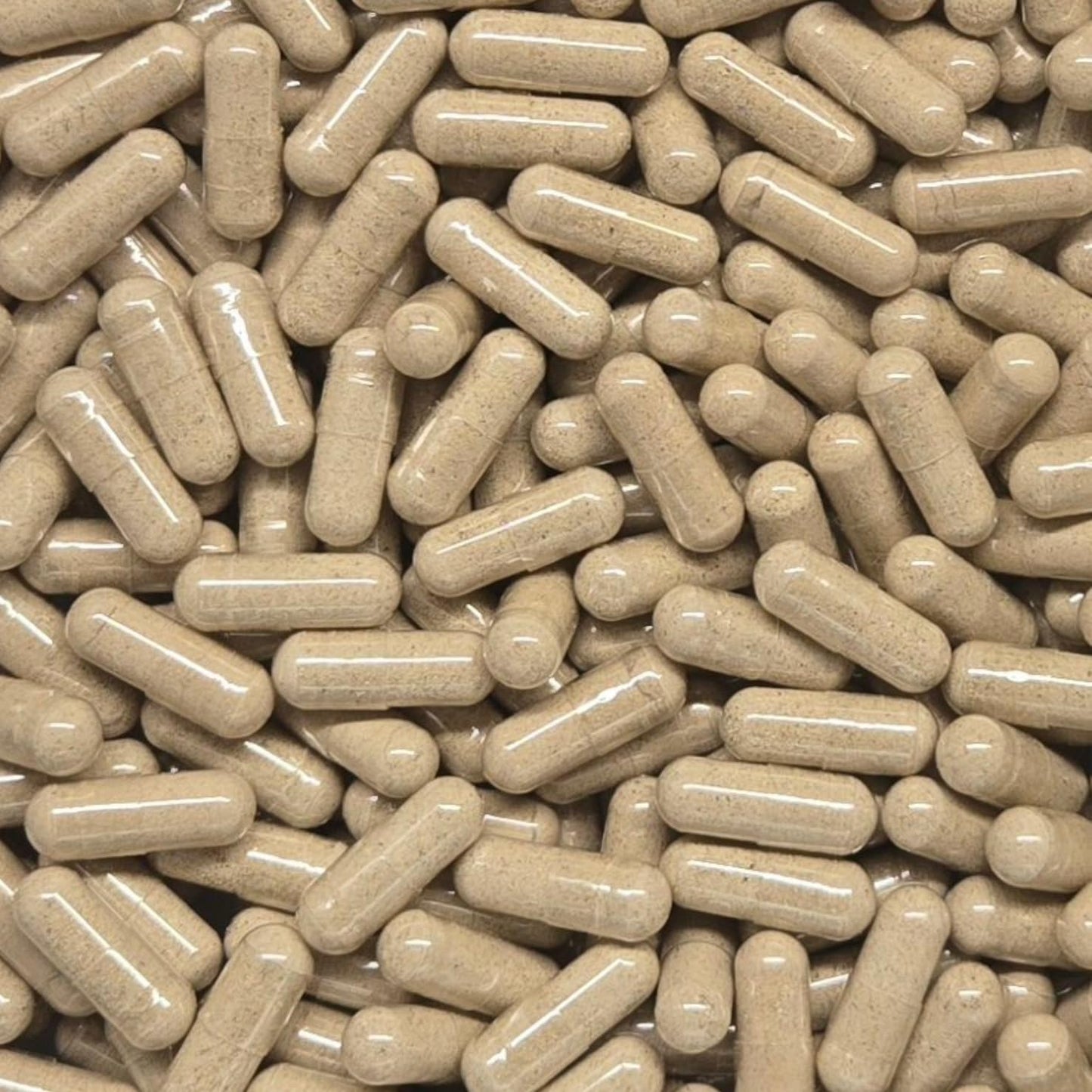 Generic Dandelion Root Powder Capsules (500mg) 240 Capsules