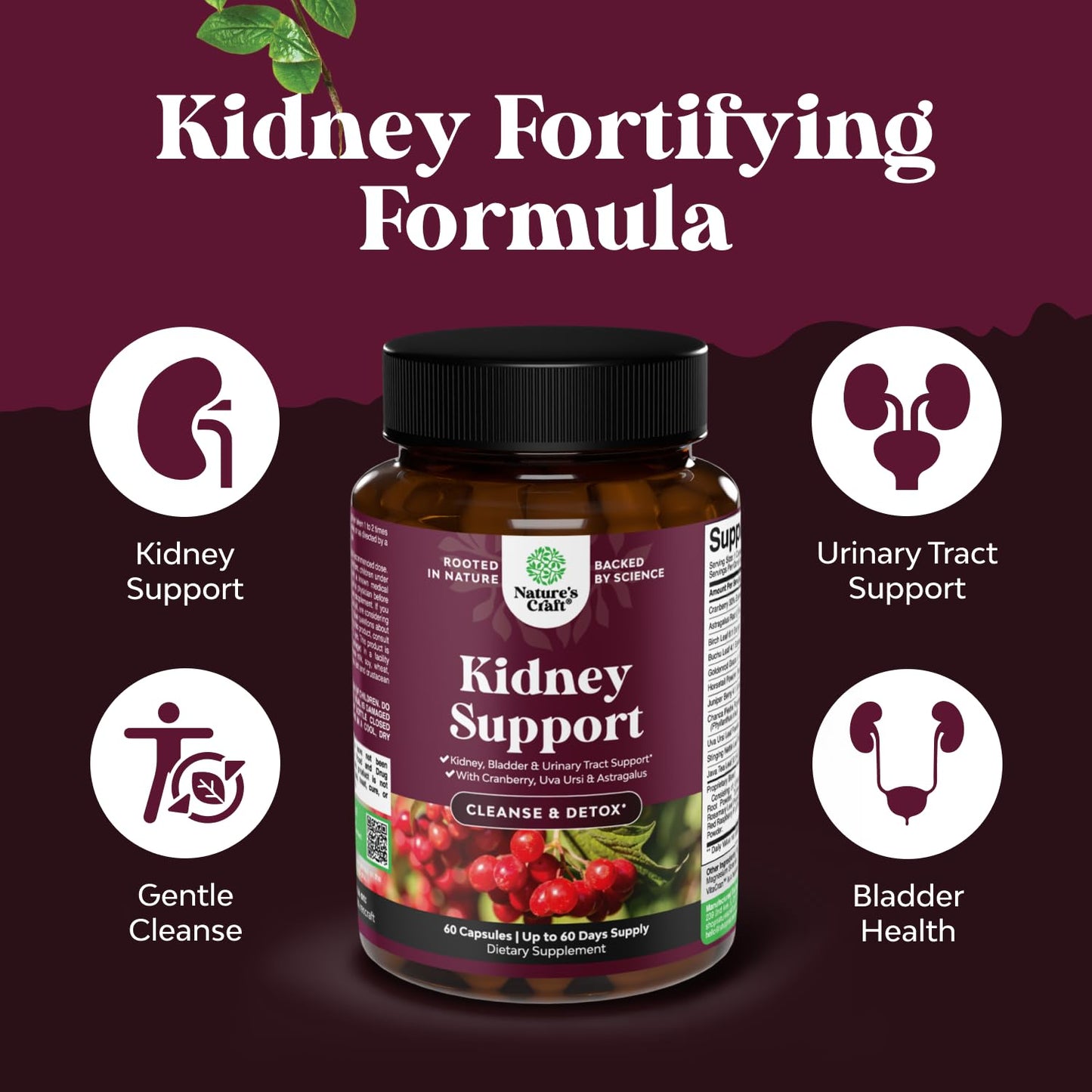Natures Craft Advanced Kidney Cleanse Support Cranberry Extract Capsules, 60 Count
