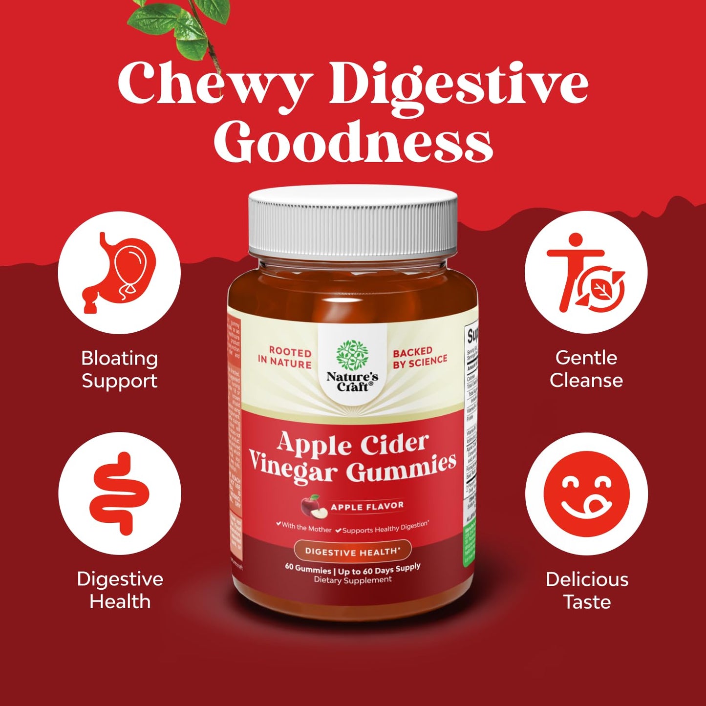 Natures Craft Apple Cider Vinegar Gummies for Weight Loss, Detox & Gut Health with B12, B6 & Pomegranate, 60 Gummies