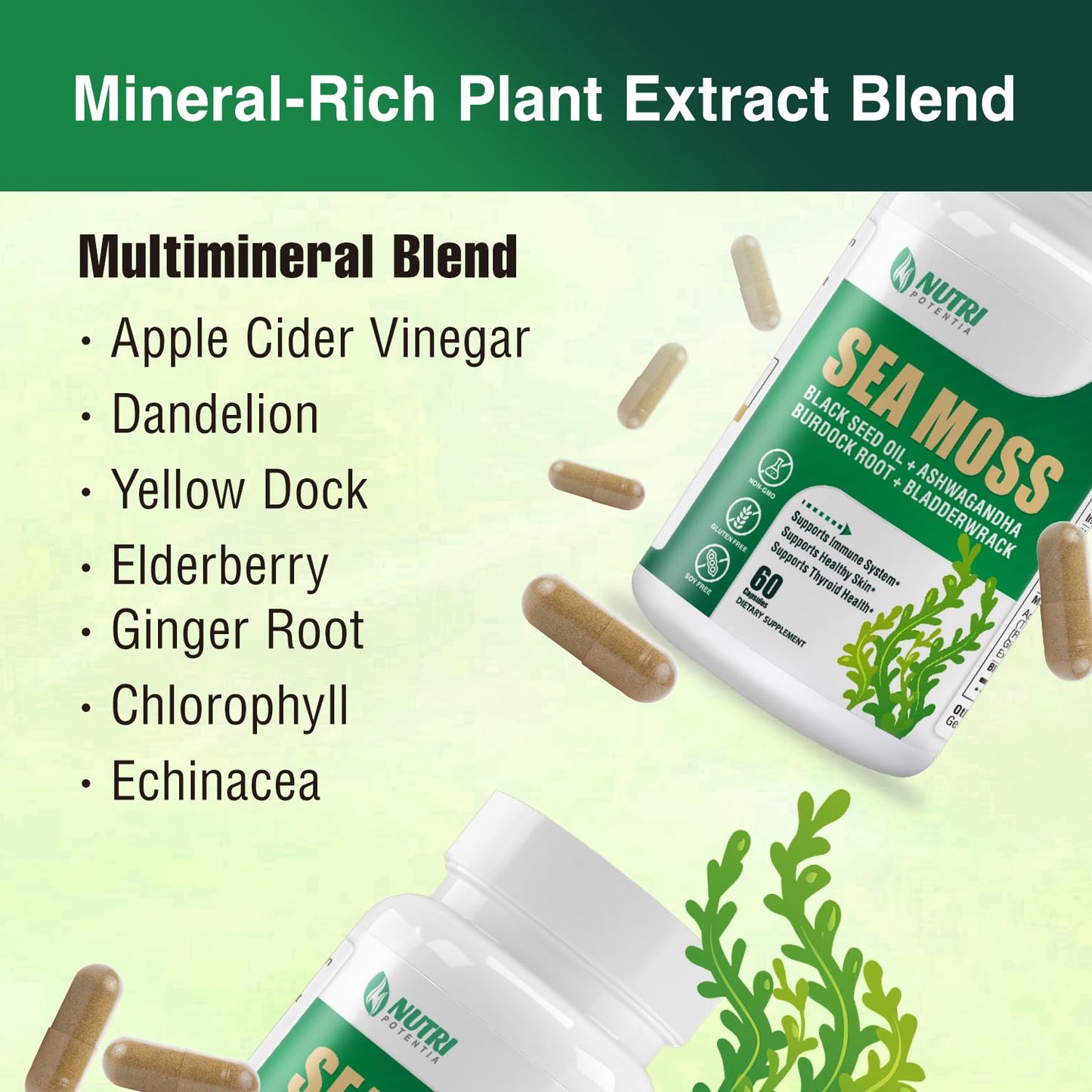 NUTRI POTENTIA Sea Moss Capsules, 60 Count