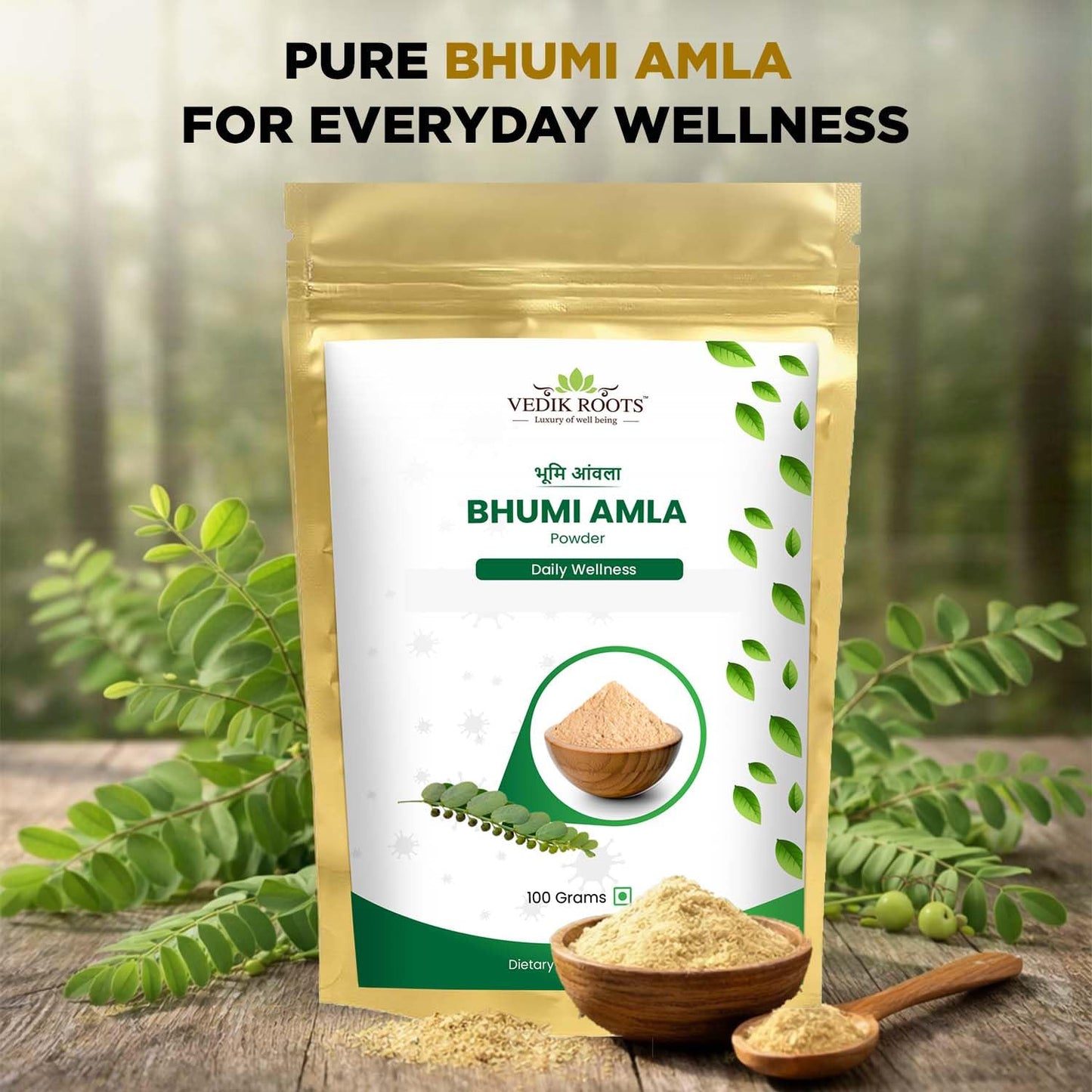 VEDIKROOTS Bhumi Amla Powder (Phyllanthus Niruri) 10.58 oz total