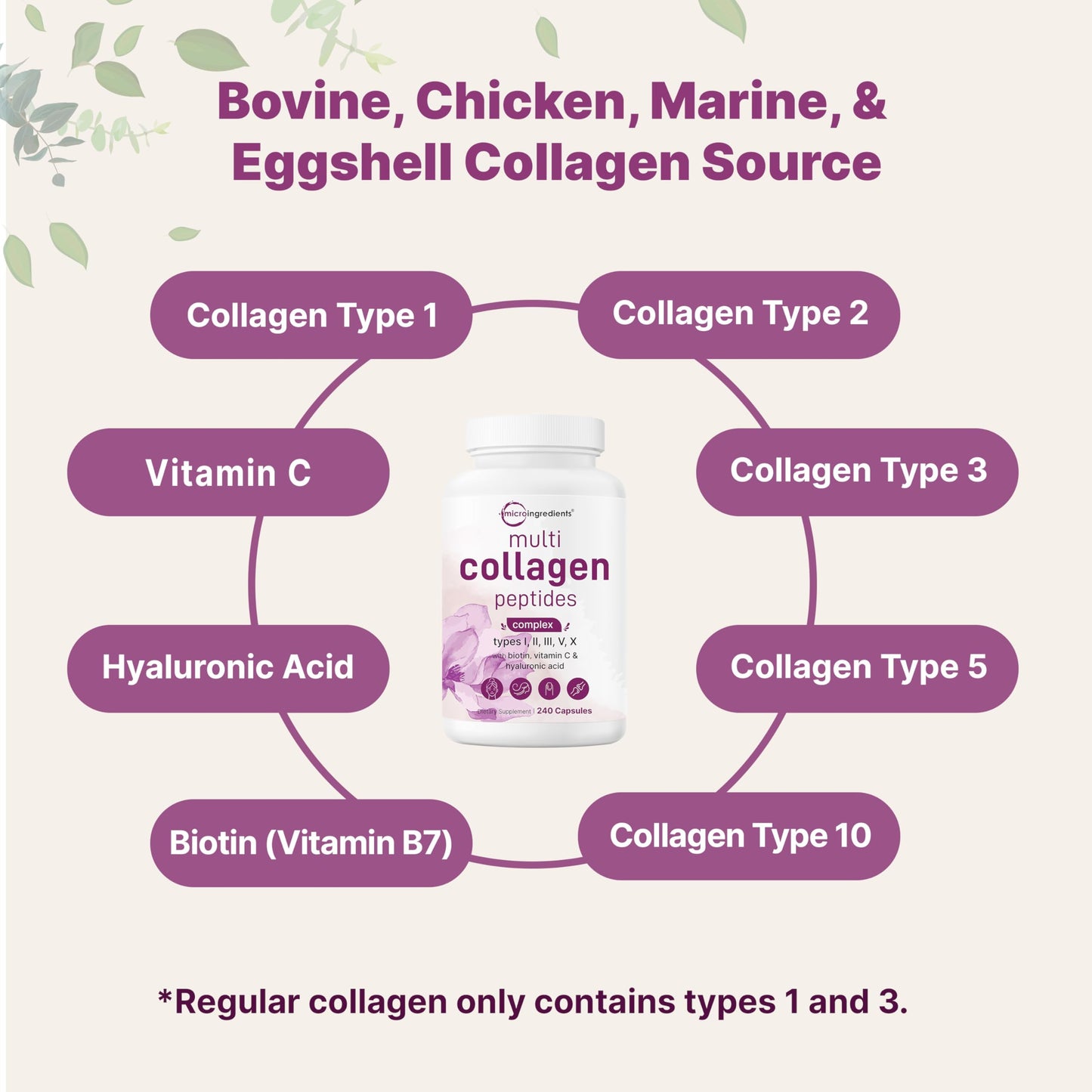 Micro Ingredients Multi Collagen Capsules, 480 Capsules