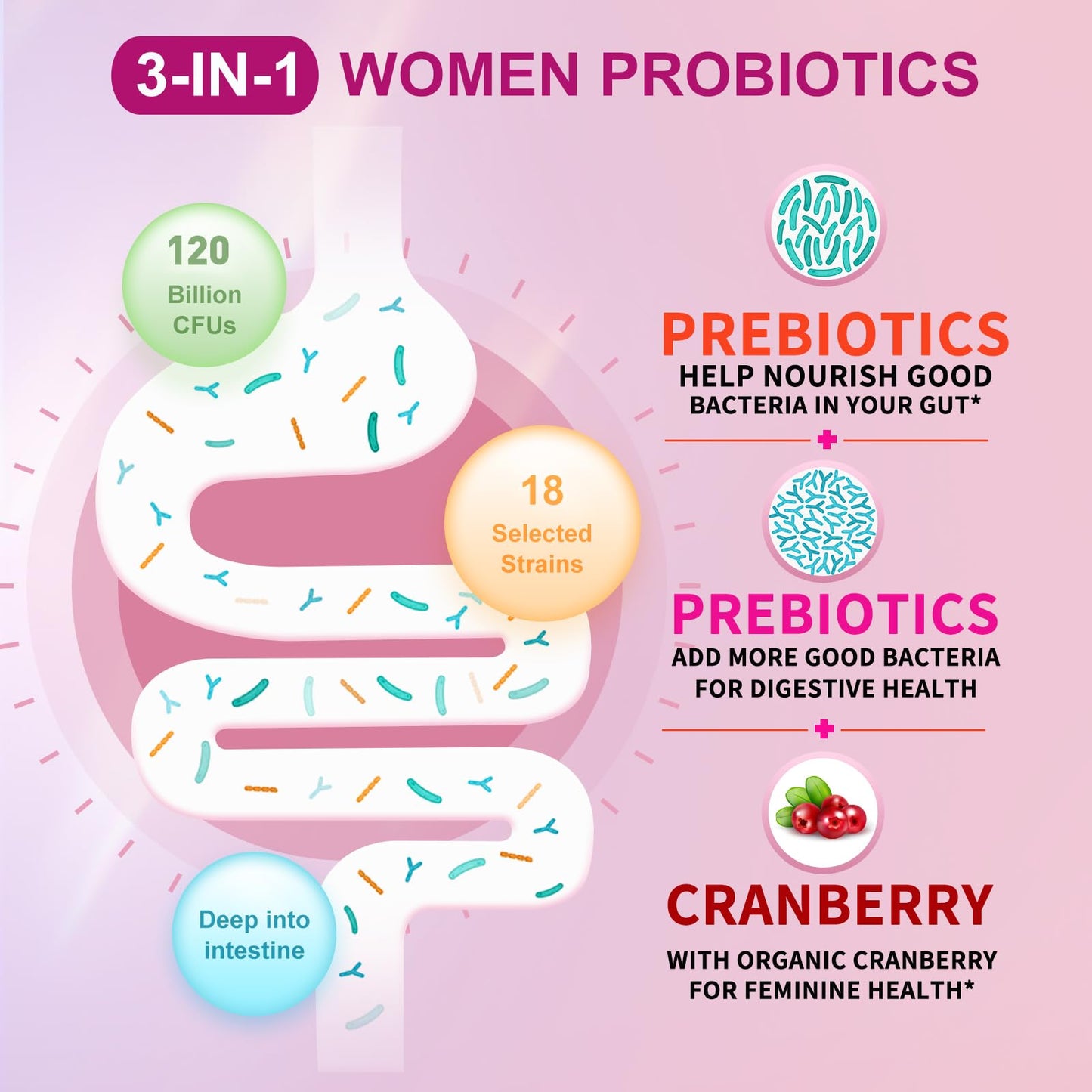 OMOGS Women's Probiotic Tablets with Cranberry Extract, Organic Prebiotics & Vitamin C, 120 Billion CFUs, 18 Strains, 240 Tablets