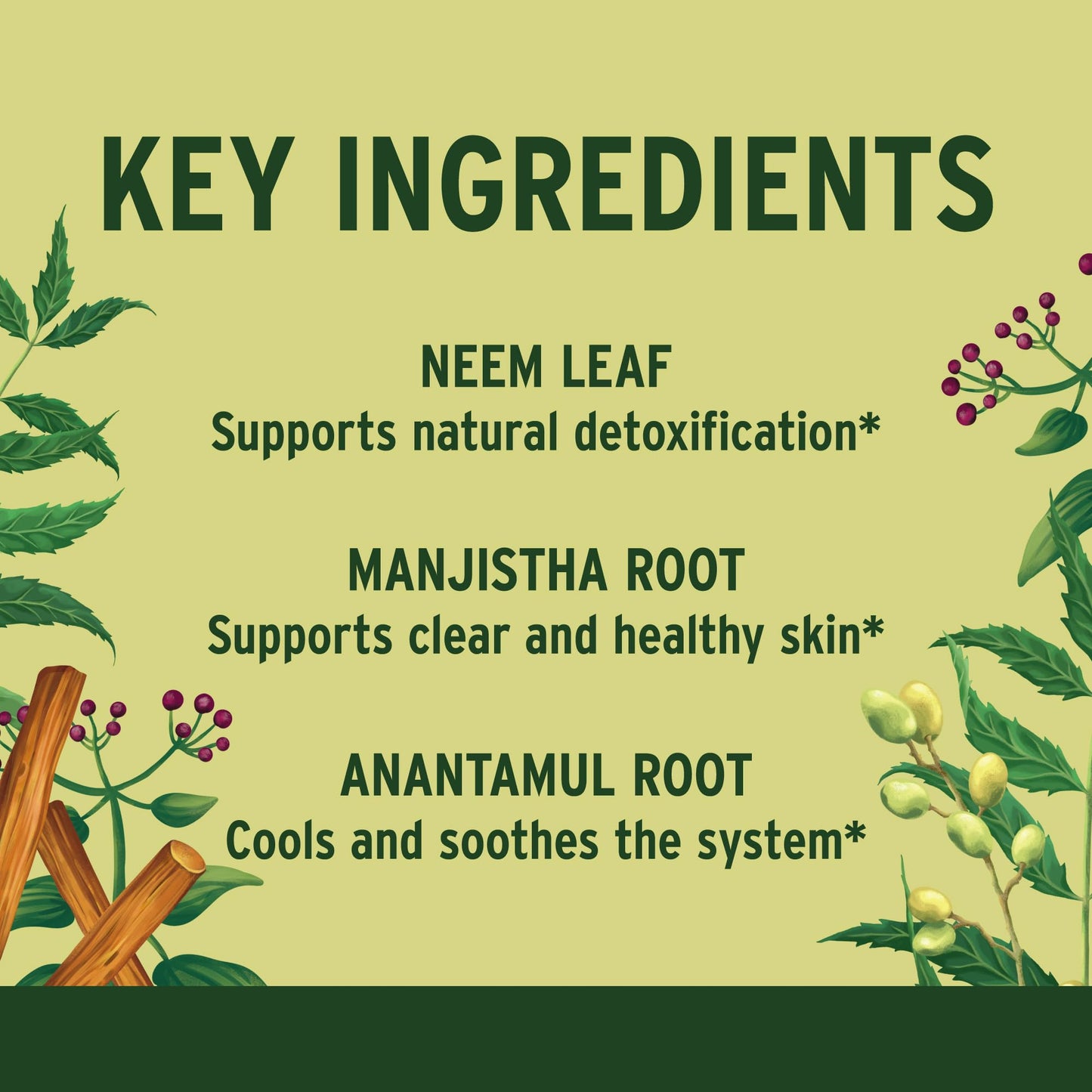 Banyan Botanicals Organic Healthy Skin Internal Cleansing with Neem & Manjistha for Smooth Texture & Systemic Soothing 90 Tablets