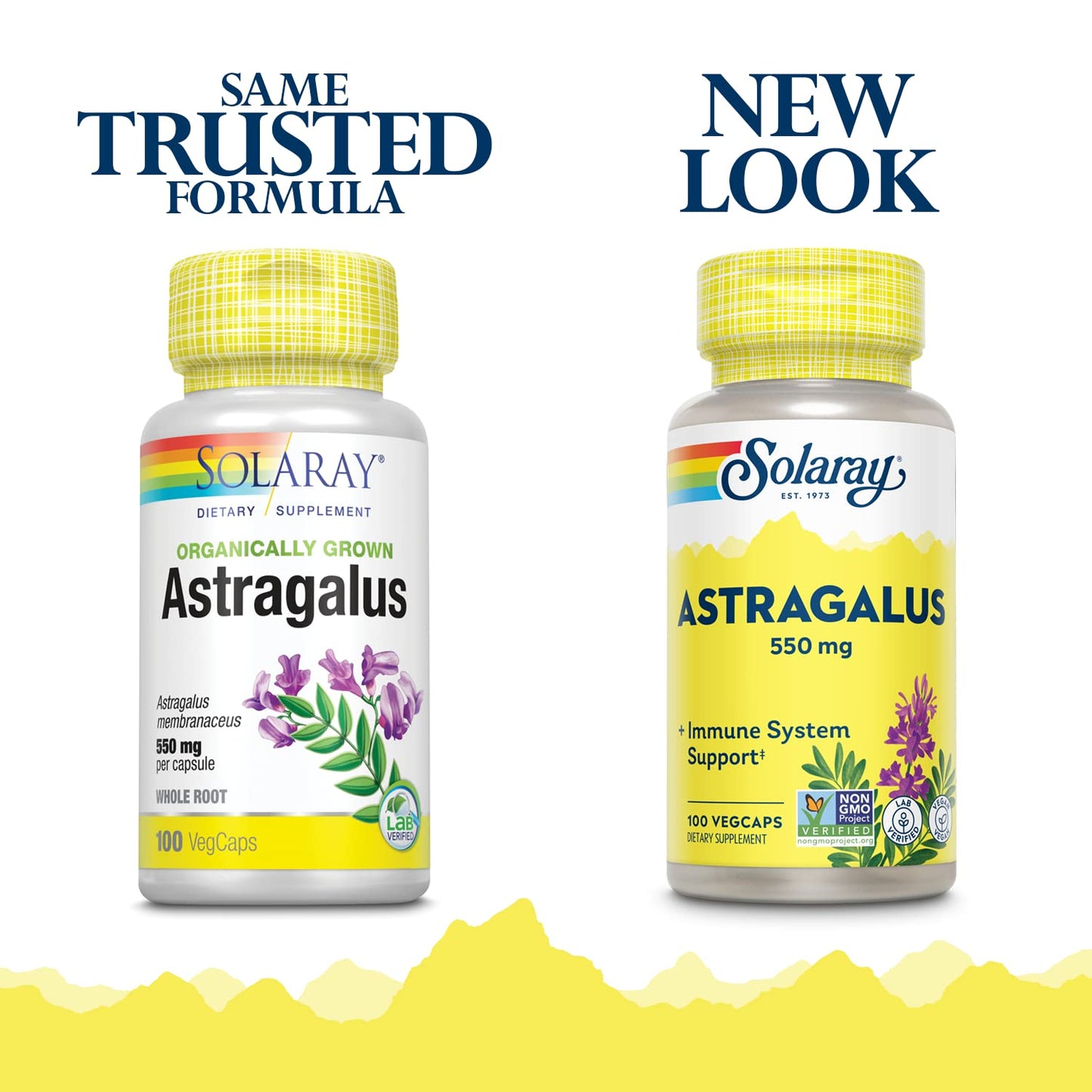 SOLARAY Astragalus Root 550 mg Capsules 100 VegCaps