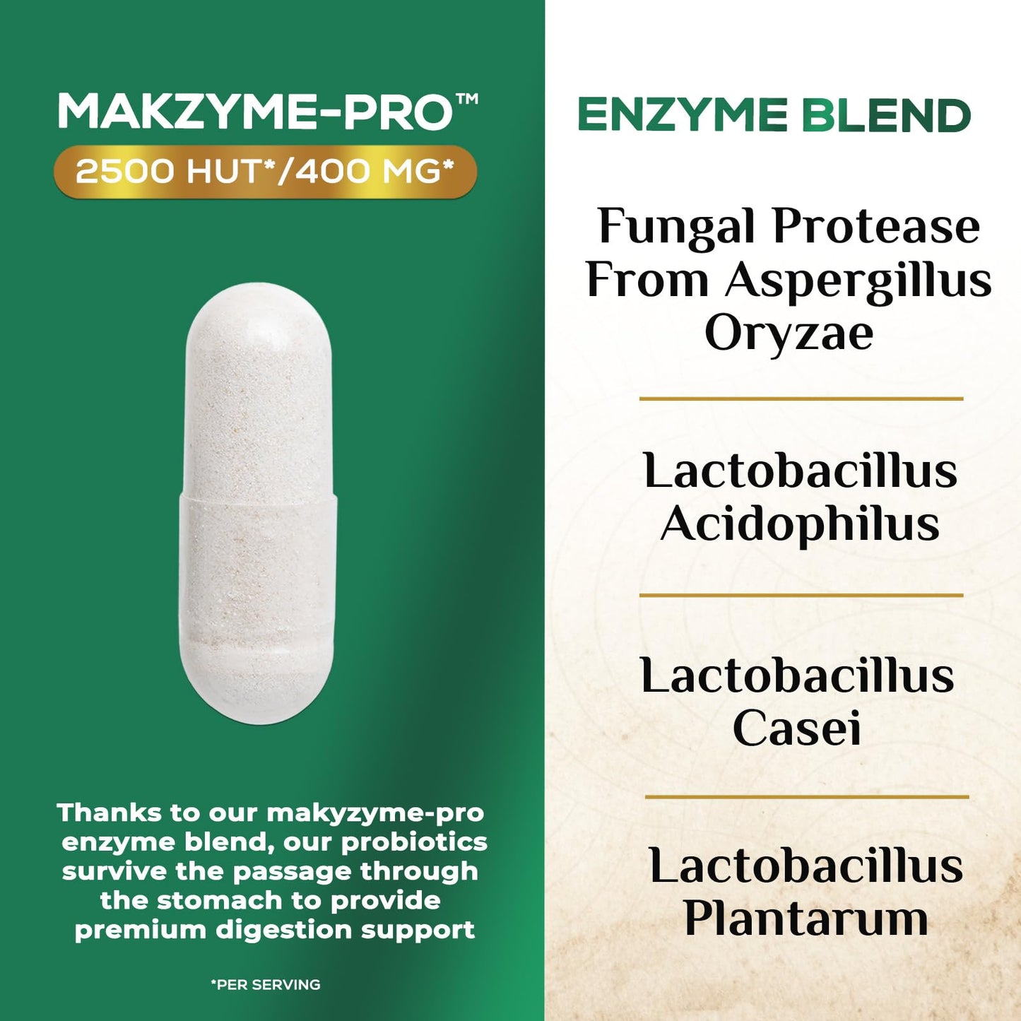 Nature's Nutrition Digestive Enzymes - Super Digestive Multi Enzyme Complex for Bloating & Gut Health Support with Bromelain, Papain, Probiotics & Prebiotics - Digestion Health Support for Women & Men Capsules, 120 Count
