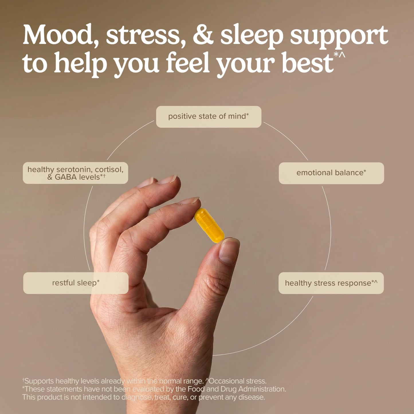 Terry Naturally Saffron Lift + Curcumin Positive Mood Capsules, 60 Count