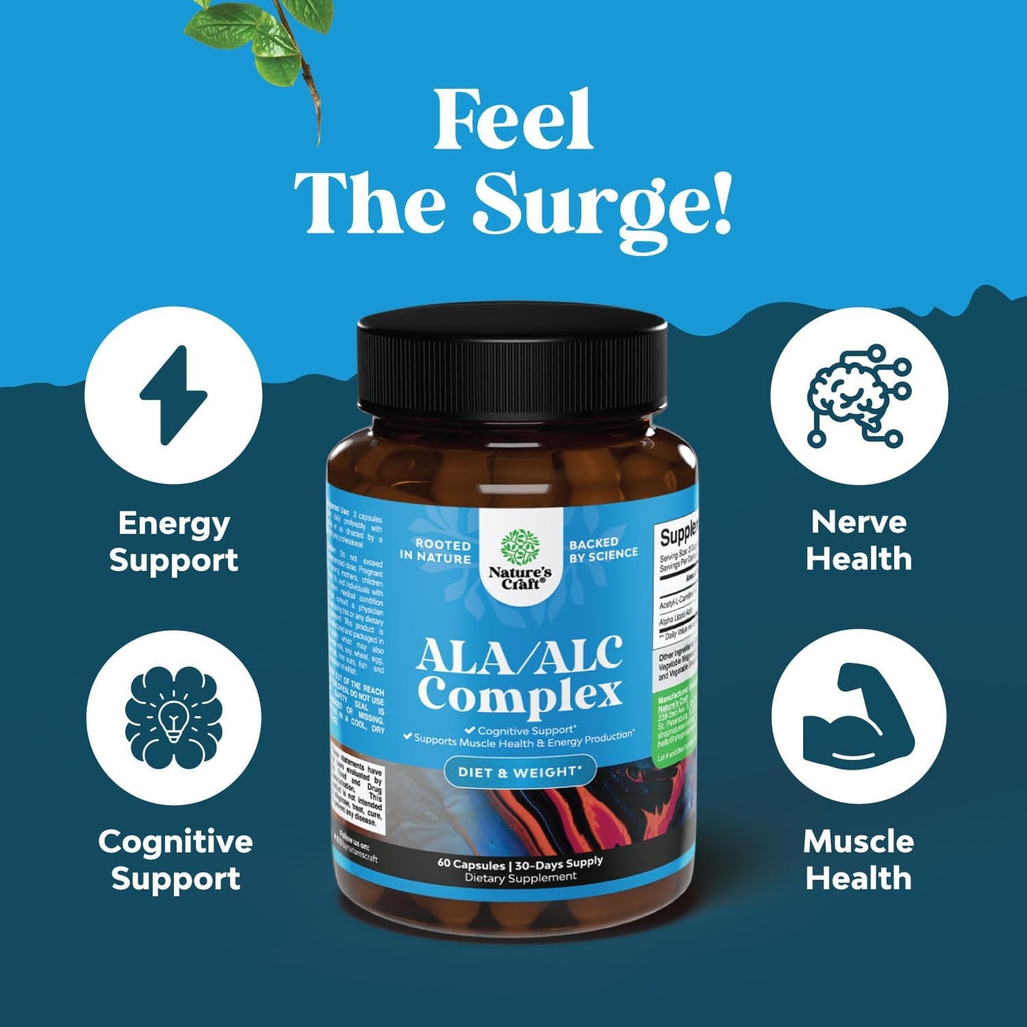Natures Craft Alpha Lipoic Acid Supplement with Acetyl L-Carnitine Capsules 60 Count