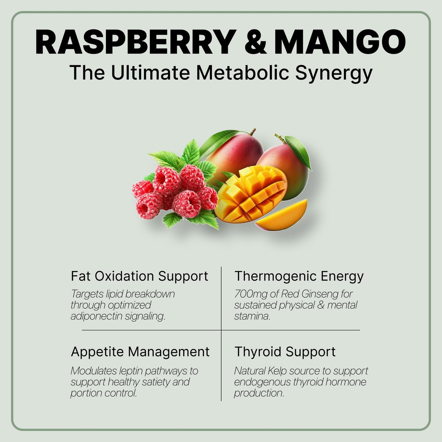 DIPO HEALTH HARMONY Raspberry Ketones Ultra 500mg with African Mango Seed, Green Tea Extract & Apple Cider Vinegar, 60 Capsules