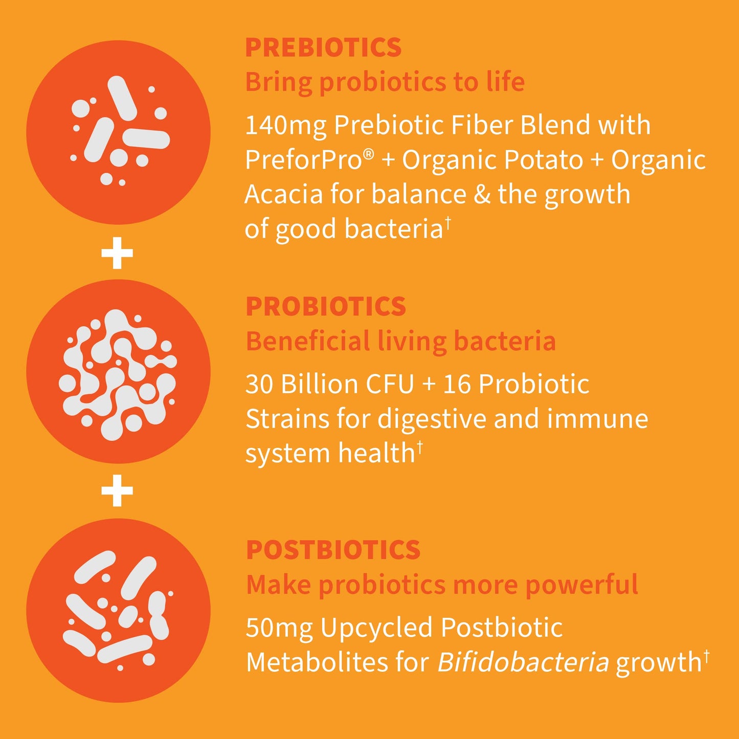 Garden of Life Dr Formulated Once Daily 3-in-1 Complete Probiotics, Prebiotics & Postbiotics Capsules, 30 Count